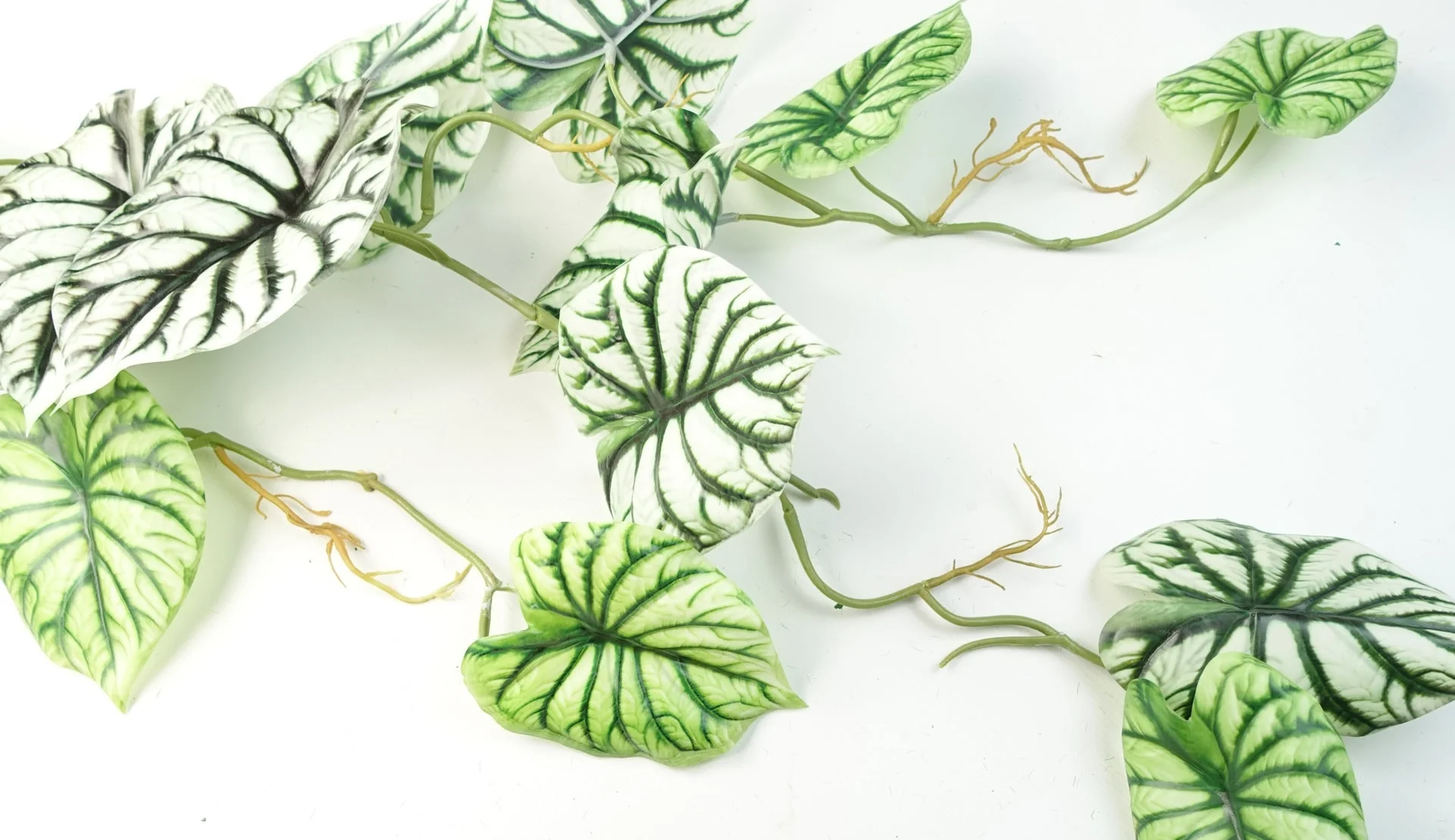 6 x 120cm Artificial Hanging Trailing Plant Alocasia Dragon Scale Light - Image 3
