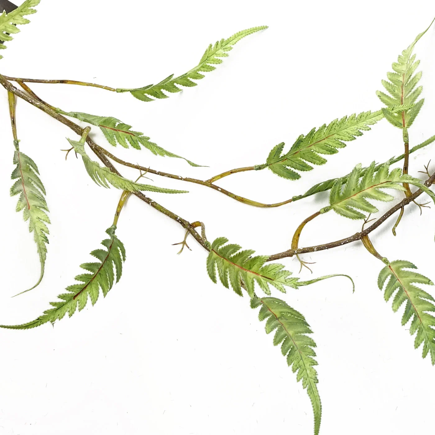 6 x 125cm Artificial Hanging Trailing Fern Plant - Image 2