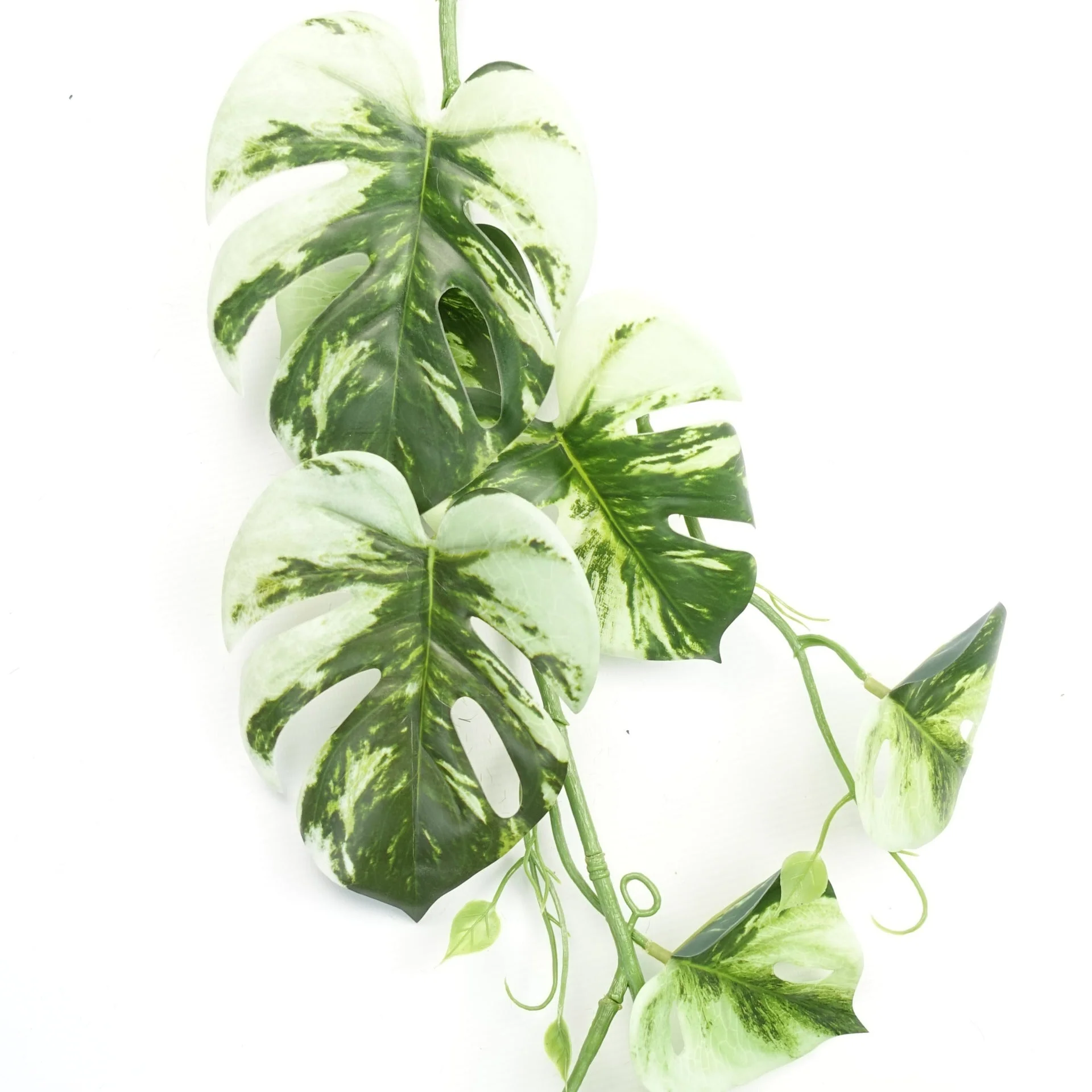 6 x 180cm Artificial Hanging Trailing Variegated Monstera Plant - Image 2