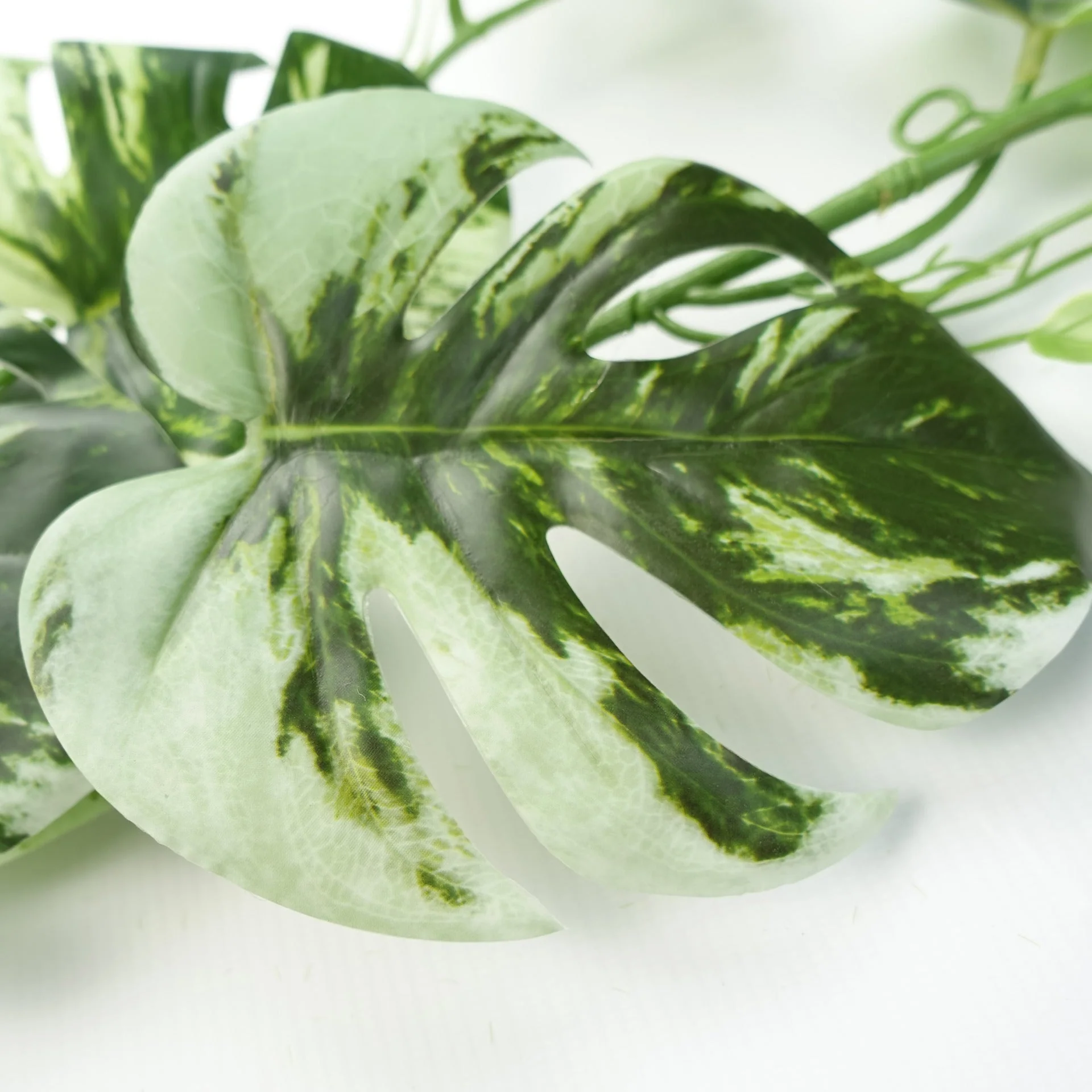 6 x 180cm Artificial Hanging Trailing Variegated Monstera Plant - Image 3