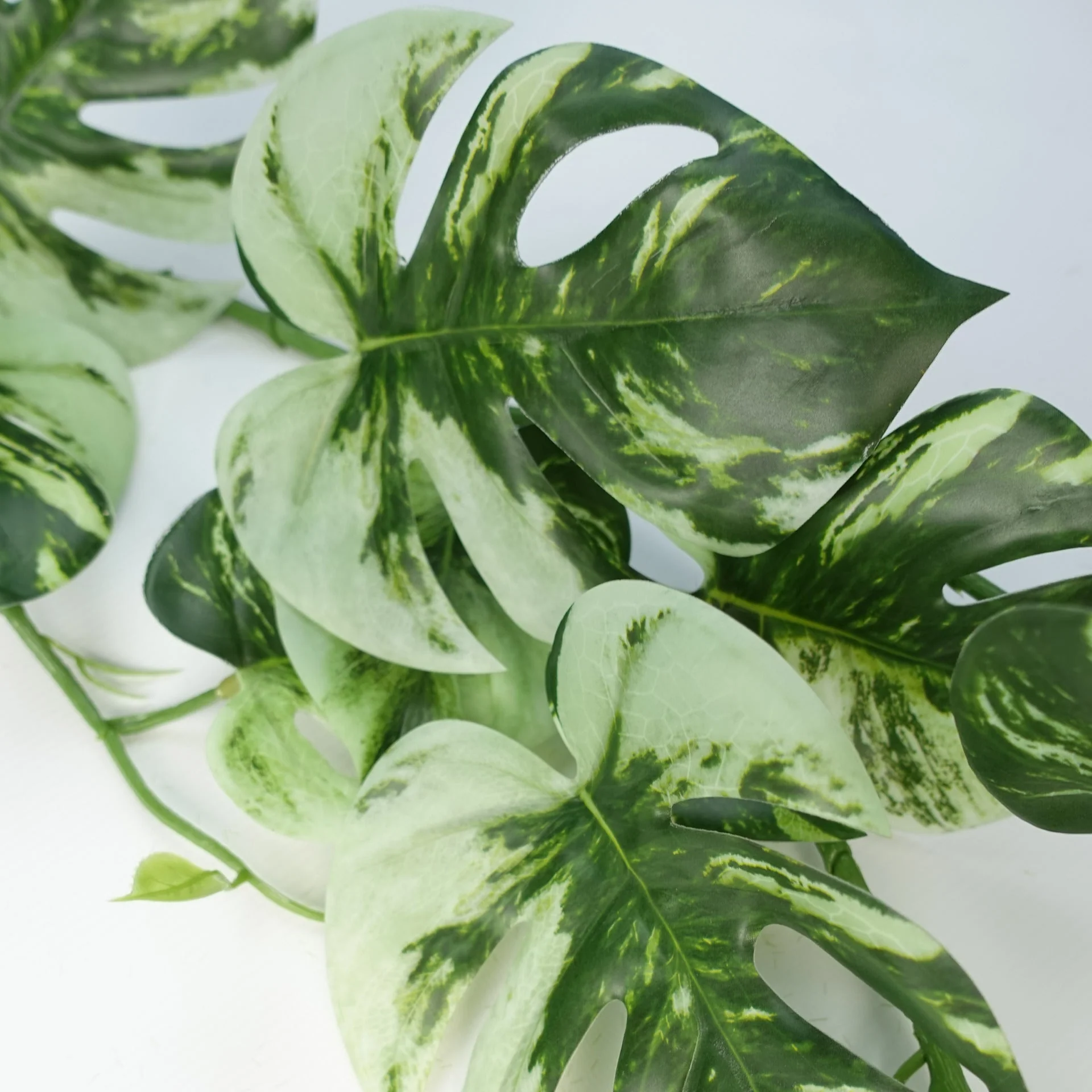 6 x 180cm Artificial Hanging Trailing Variegated Monstera Plant - Image 4