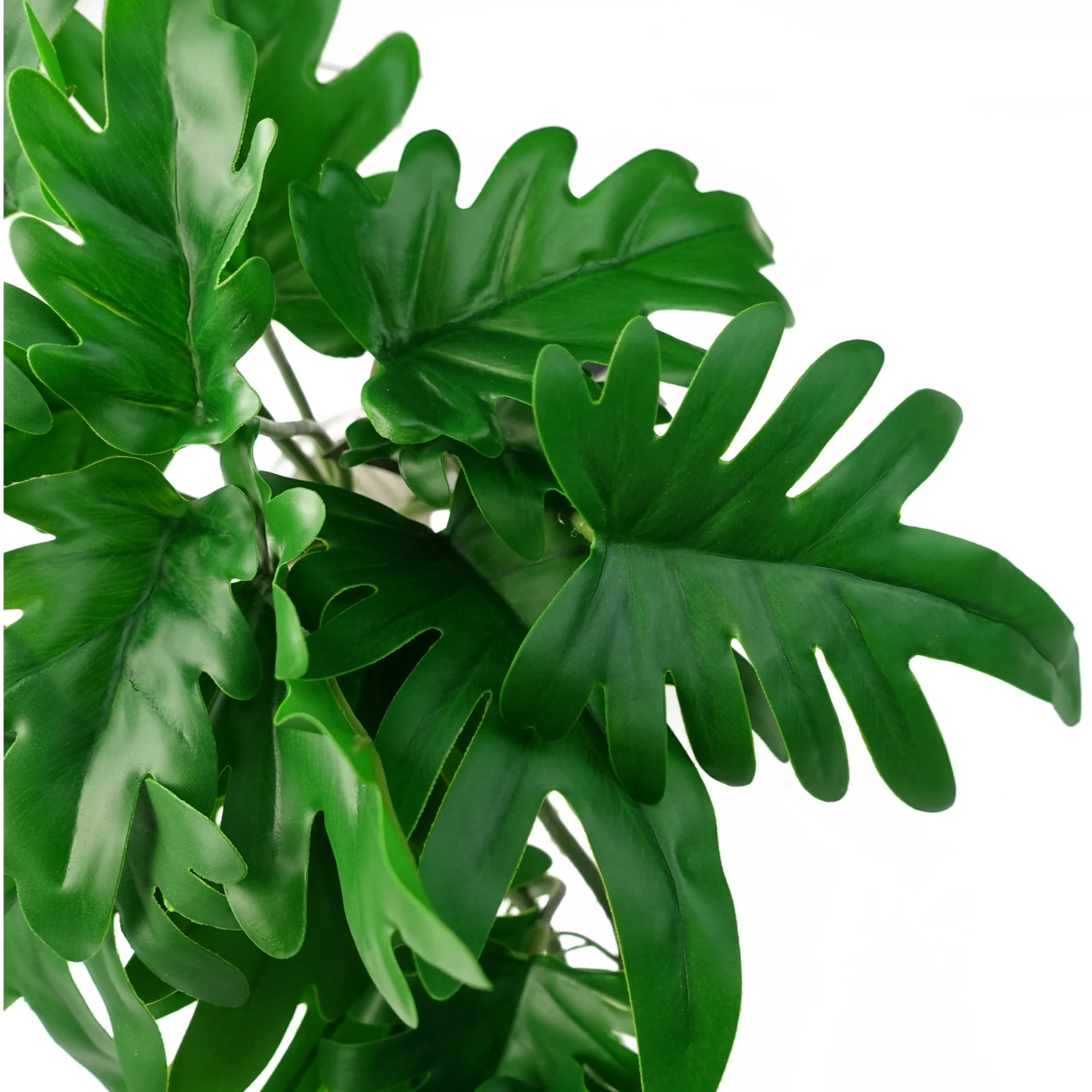 6 x 50cm Artificial Trailing Philodendron Large Leaf Plant - Image 2