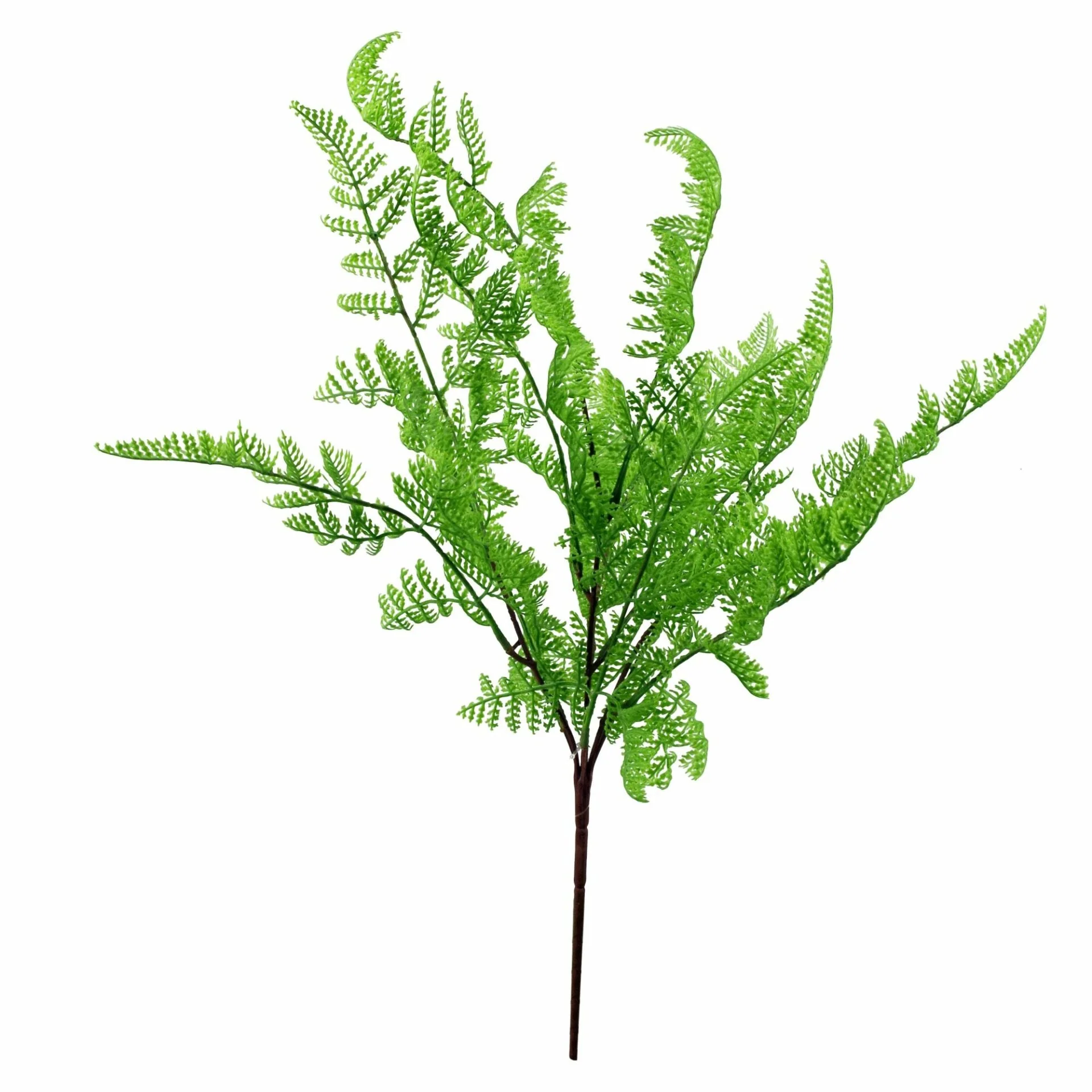 6 x 50cm Southern Wood Fern Bush Dark Green Plant - Image 2