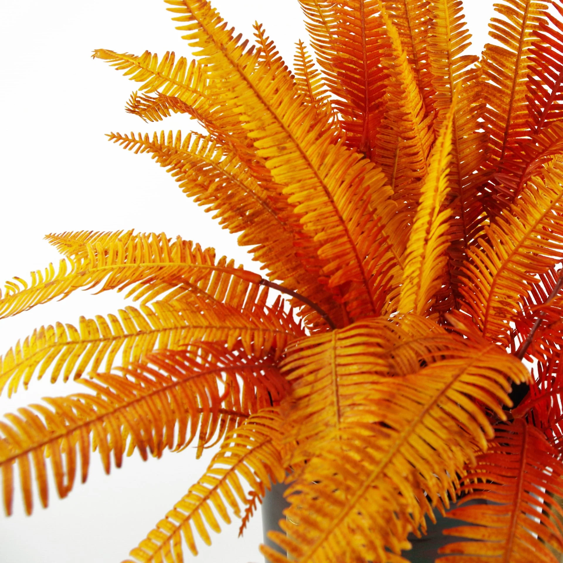 6 x 55cm Artificial Autumn Fern Bush Plant - Image 4