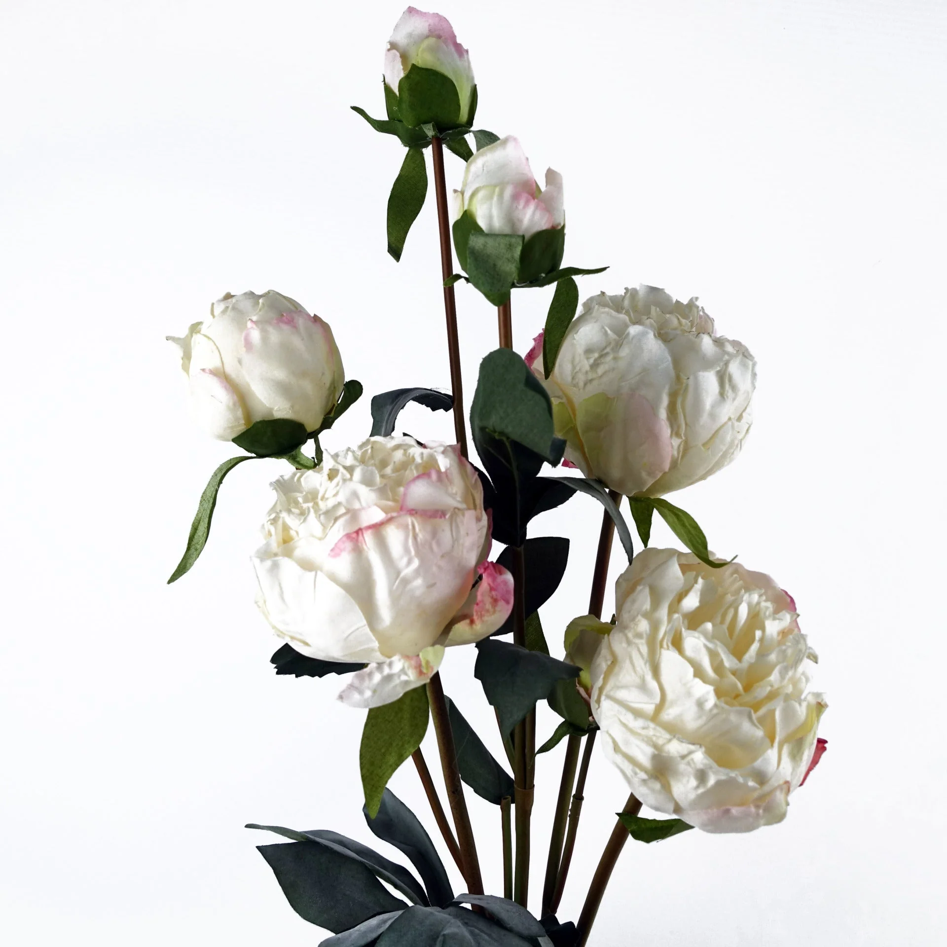 6 x 55cm Cream Peony Artificial Flower Stems - Image 3