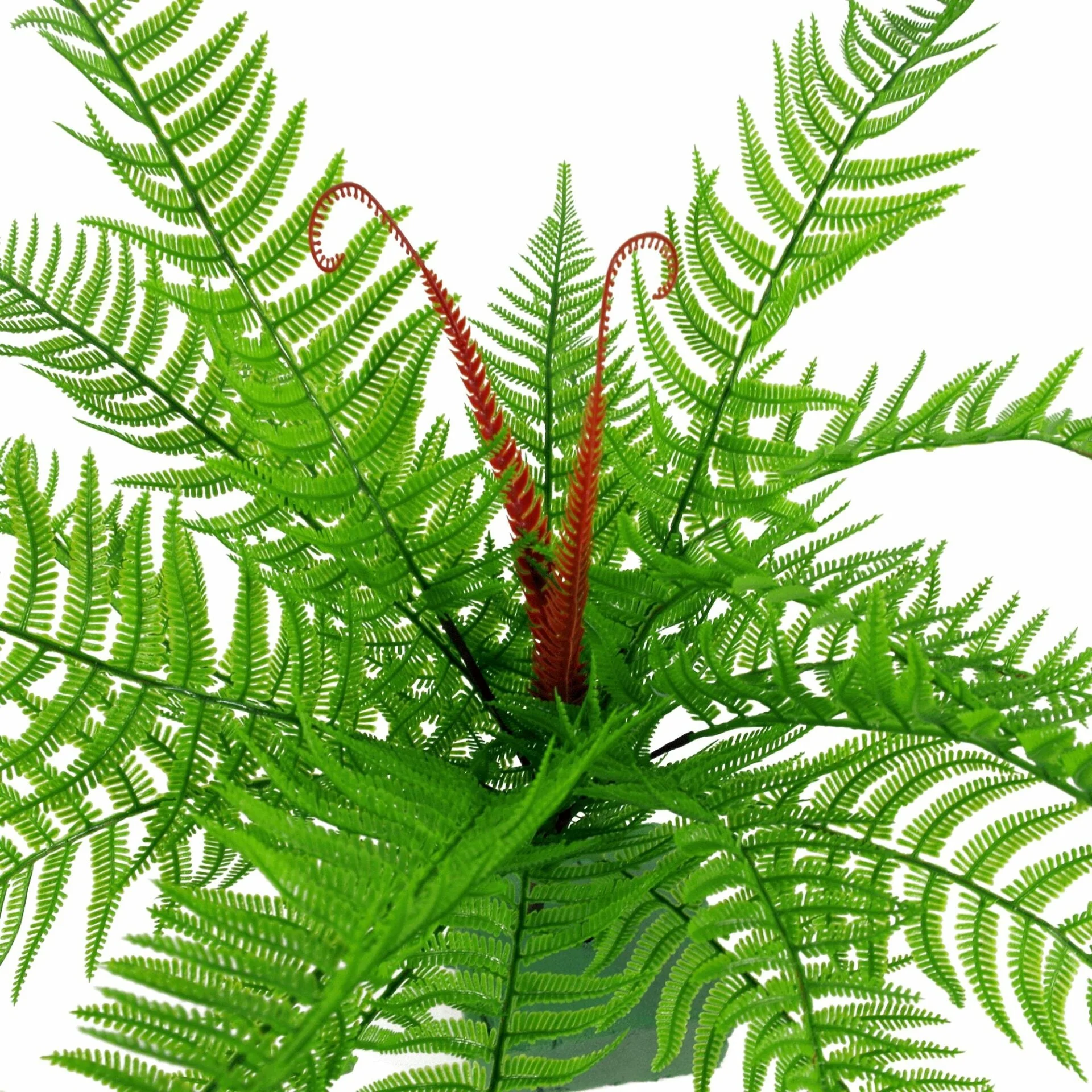 6 x 60cm Artificial Bushy Dixie Wood Fern Dark Green Plant - Image 4