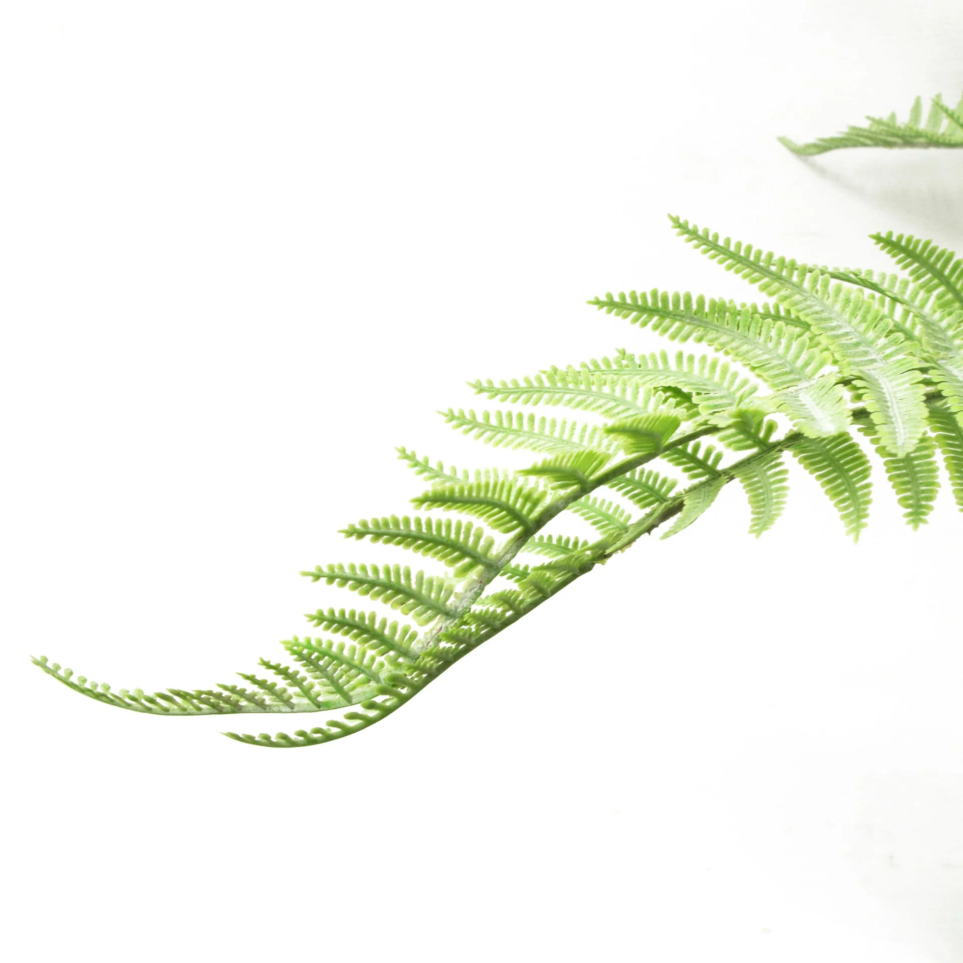 6 x 60cm Artificial Bushy Dixie Wood Fern Light Green Plant - Image 3