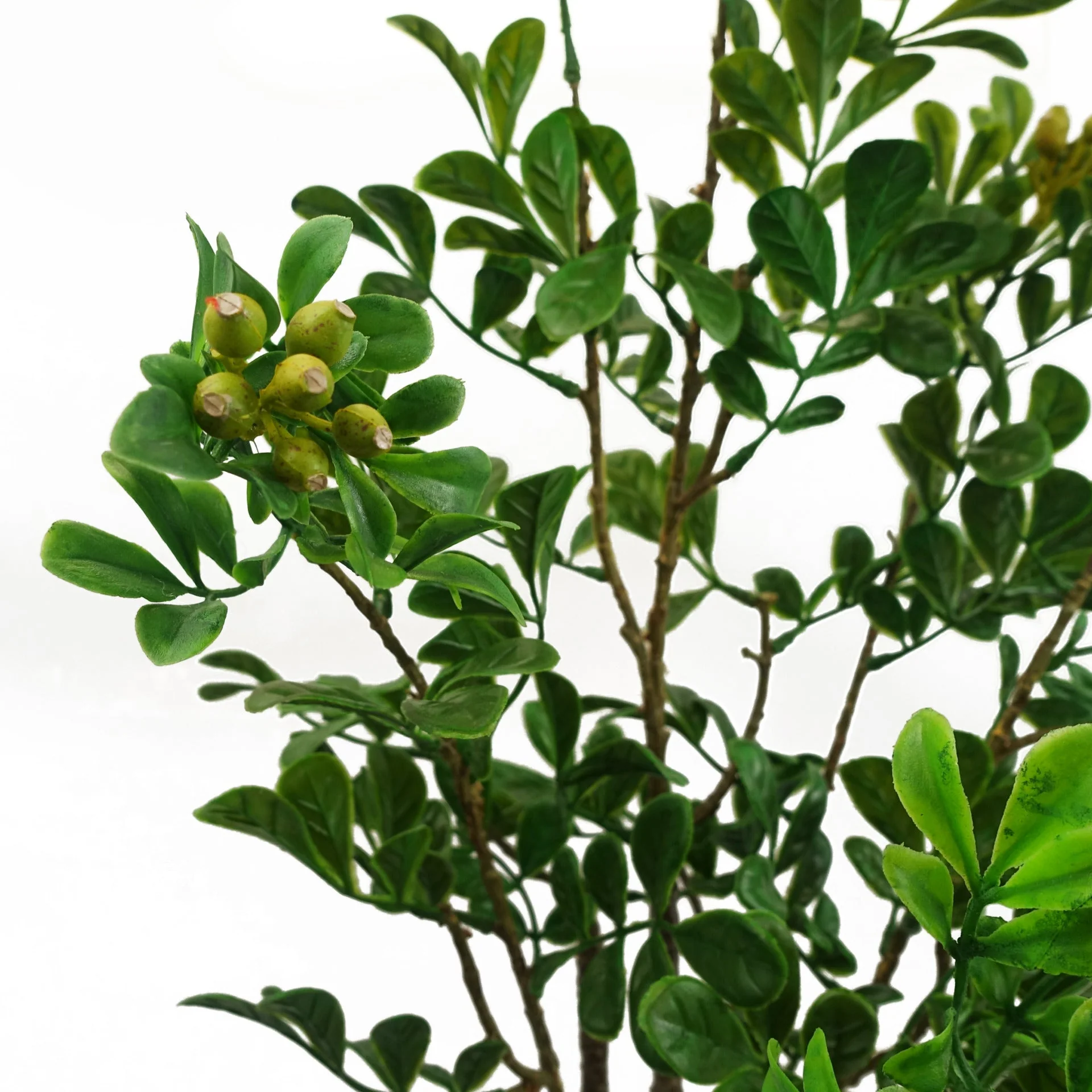 60cm Artificial Aglaia Odorata Bonsai Ficus Tree - Image 2