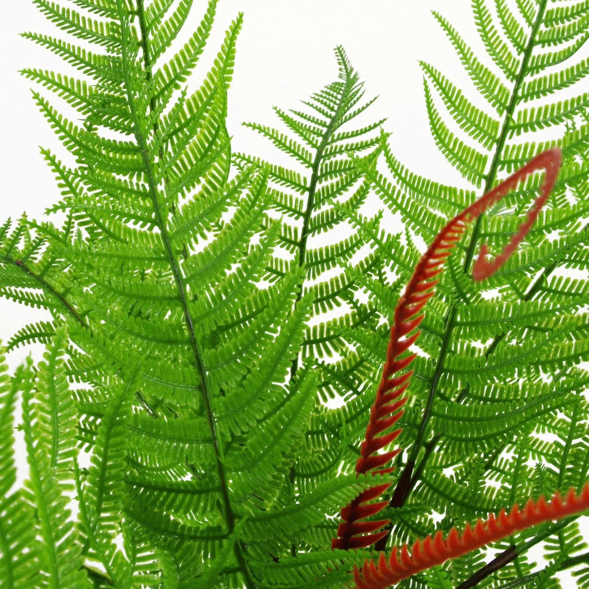 60cm Artificial Bushy Dixie Wood Fern Dark Green Plant - Image 4