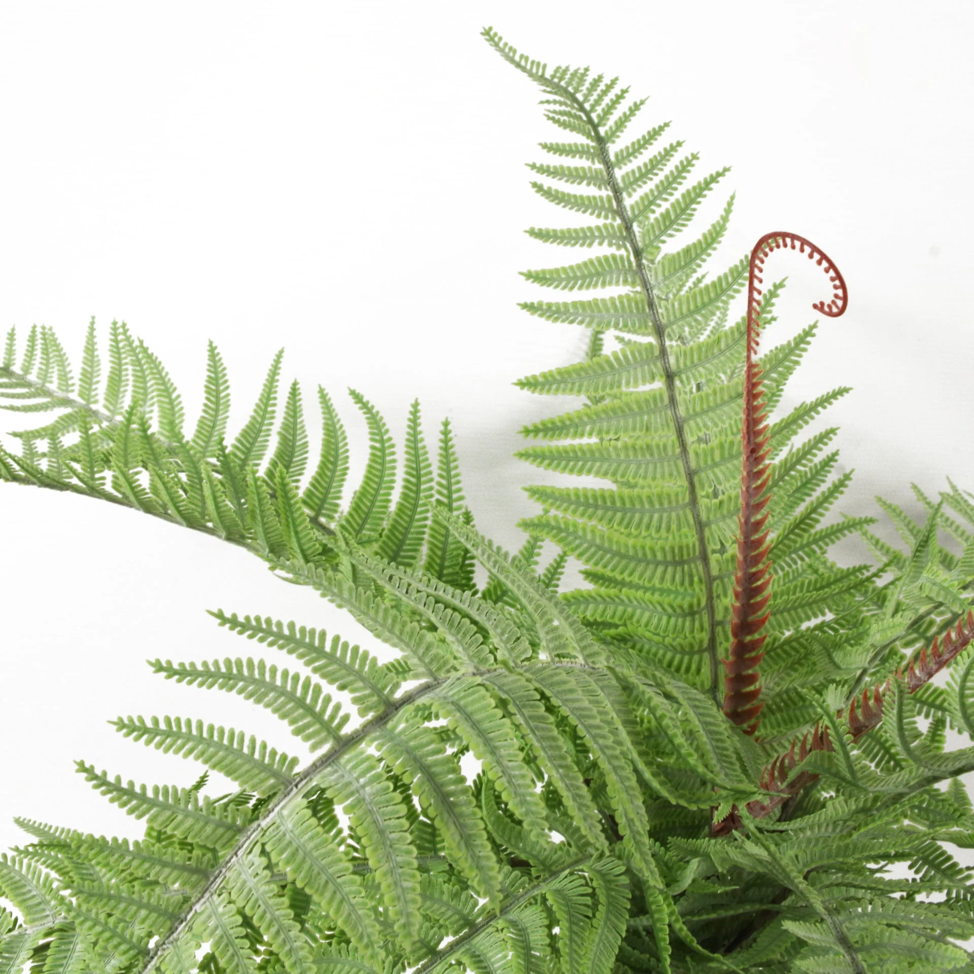 60cm Artificial Bushy Dixie Wood Fern Light Green Plant - Image 4
