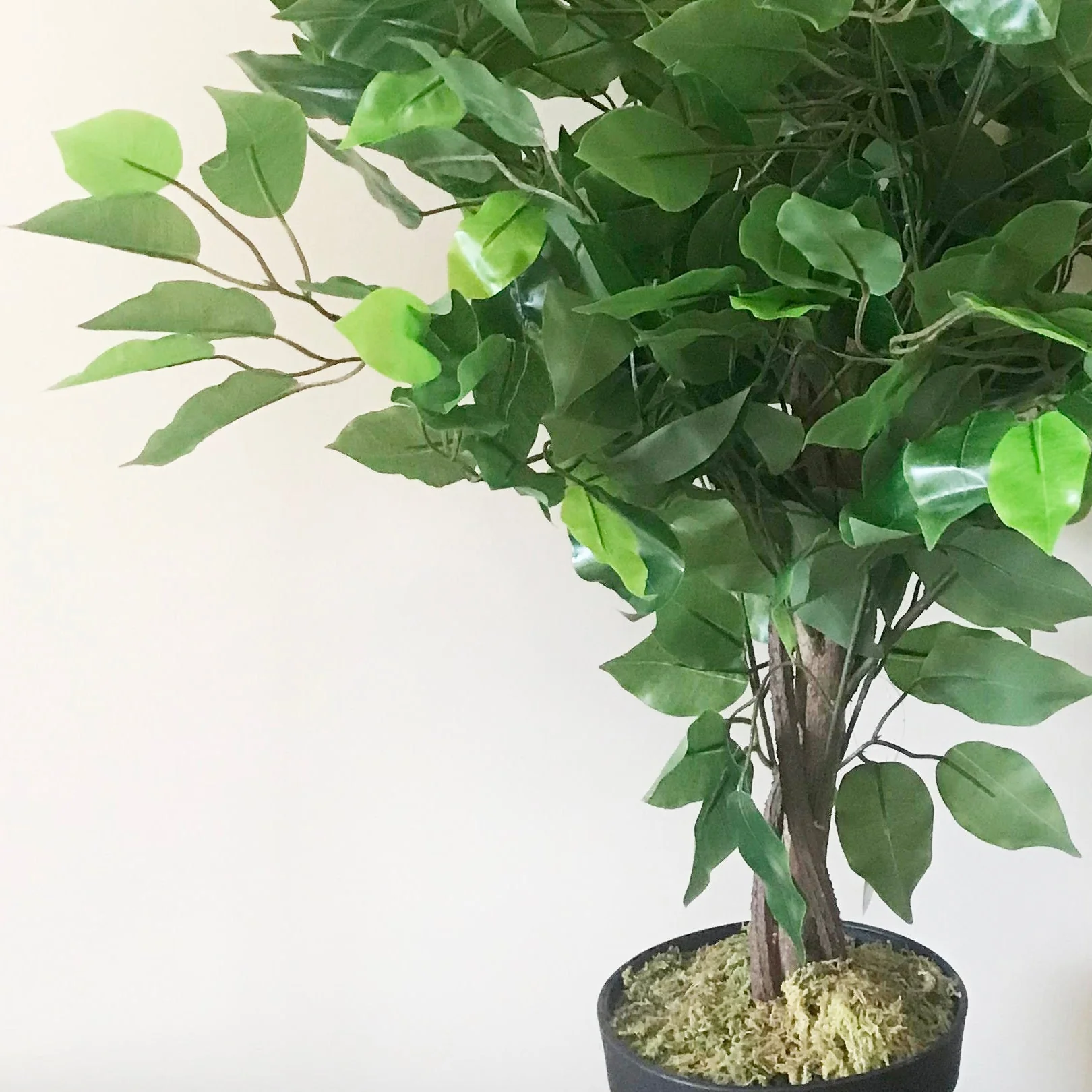 60cm Artificial Ficus Tree / Plant - Large Bushy Shape - Image 2