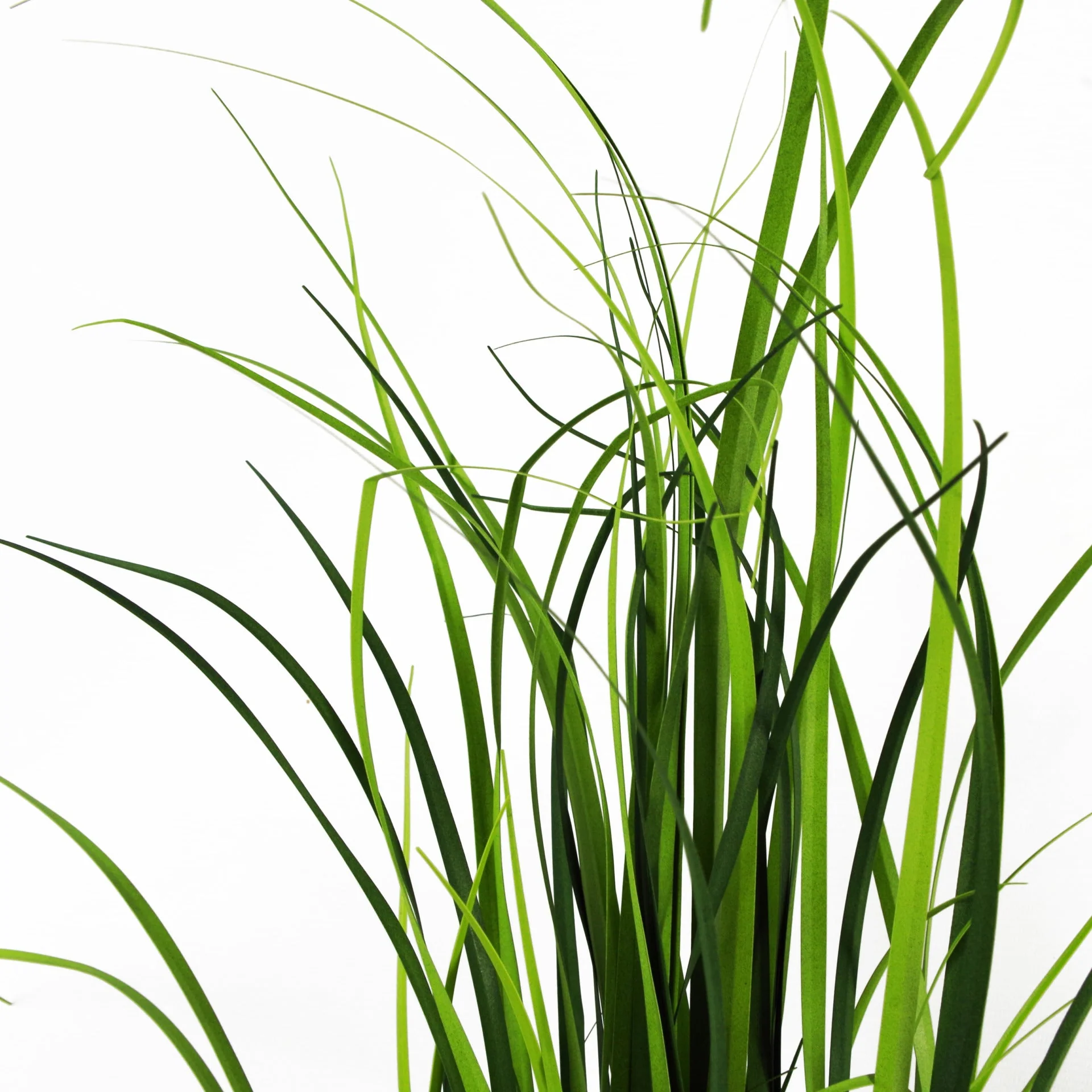 60cm Artificial Lemongrass Grass Plant - Image 2