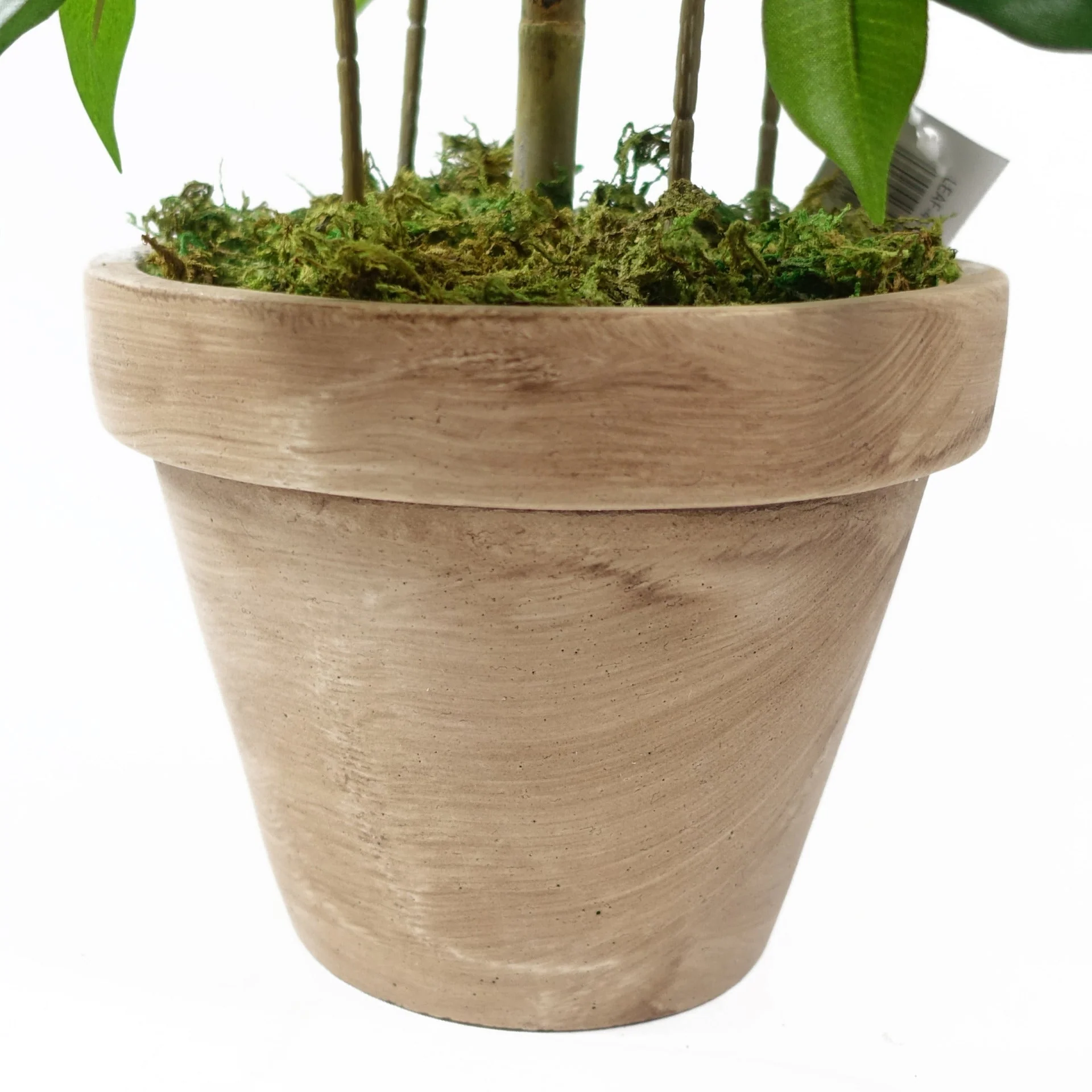 60cm Artificial Mini Ficus Bush Plant in Decorative Planter - Image 4