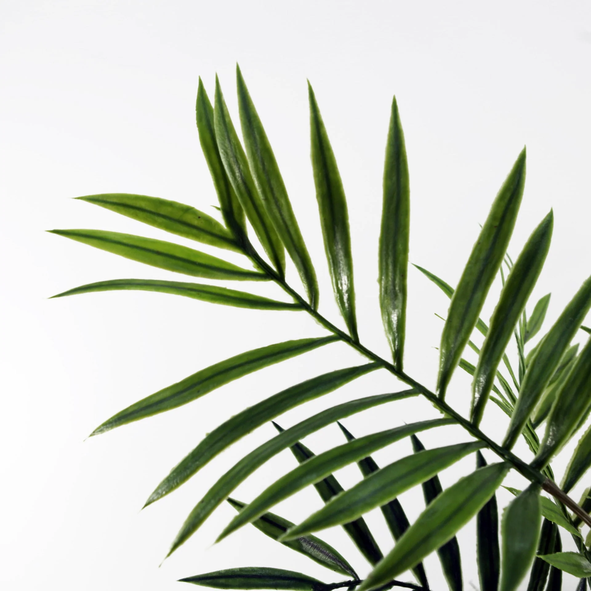 60cm Artificial Mini Palm in Decorative Planter - Image 2