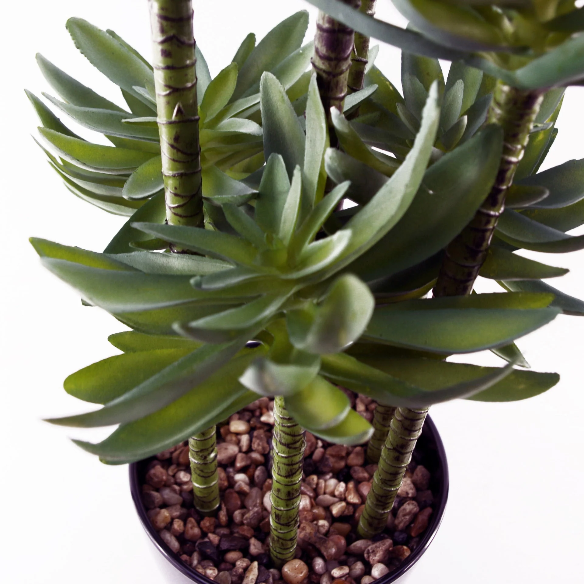 60cm Artificial Tropical Yukka in Planter - Image 3