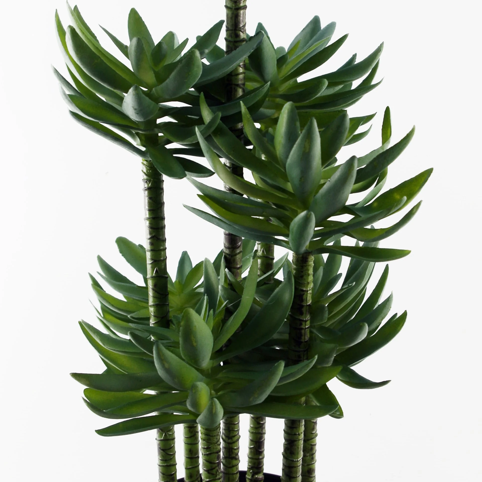 60cm Artificial Tropical Yukka in Planter - Image 4
