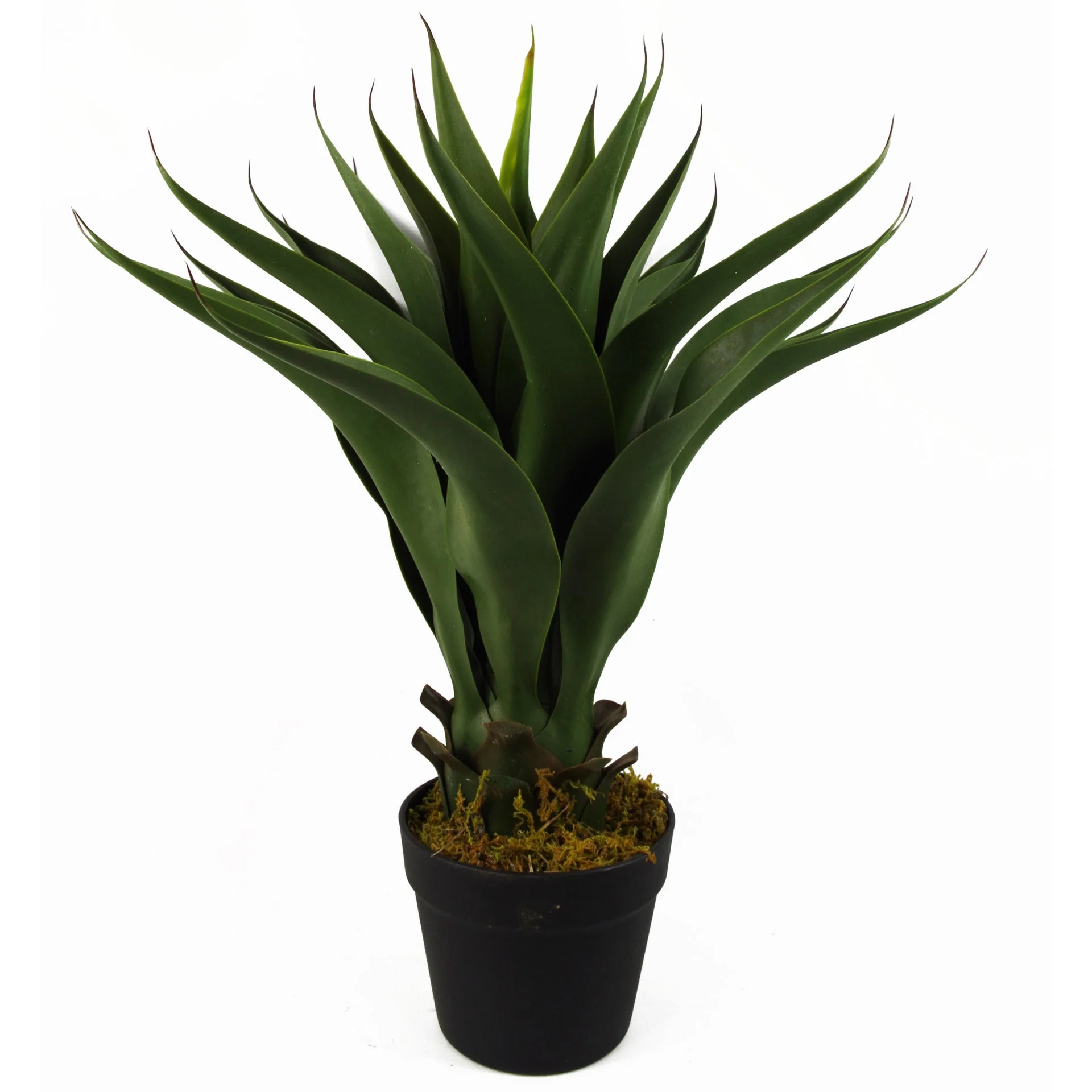 60cm Large Artificial Yucca Plant with Ceramic Planter & Stand - Image 3