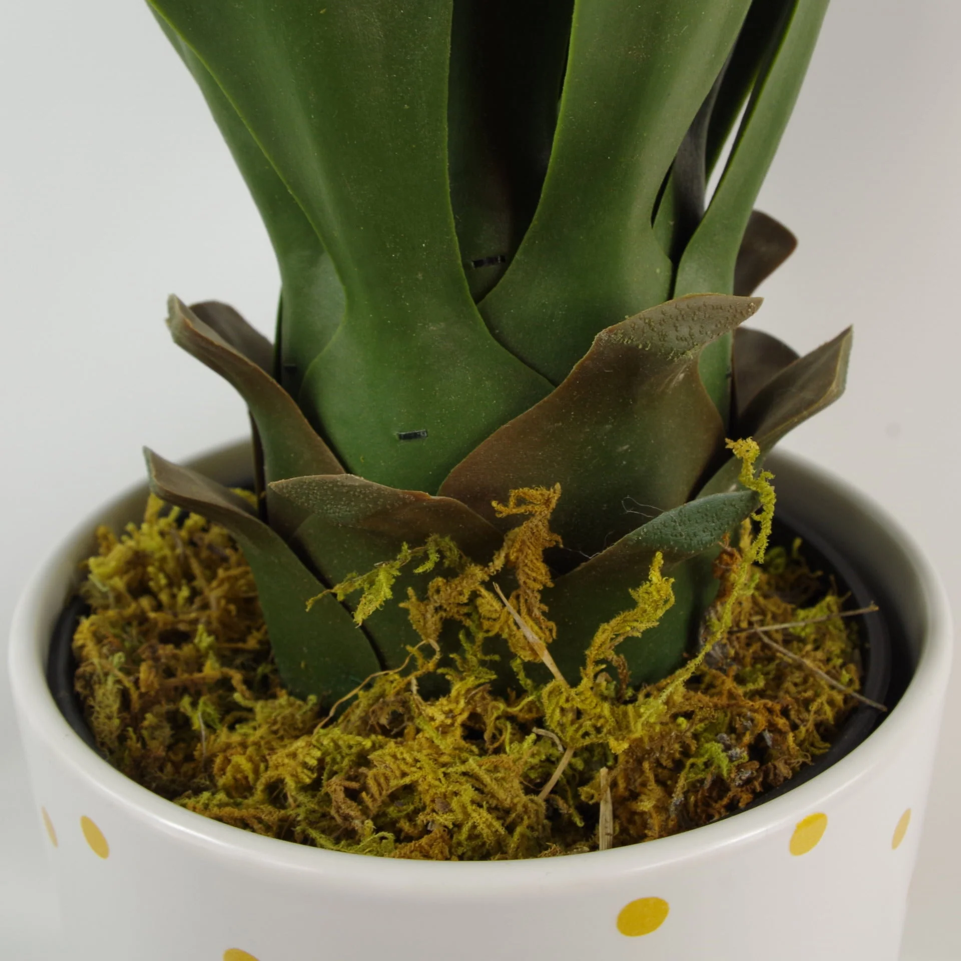60cm Large Artificial Yucca Plant with Ceramic Planter & Stand - Image 4