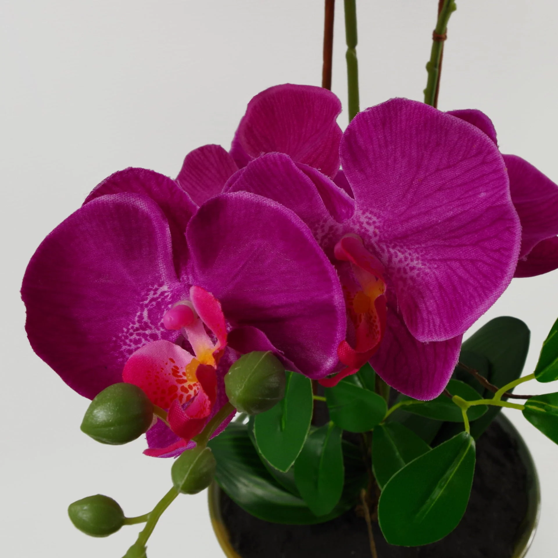 65cm Artificial Orchid Dark Pink in Glazed Planter - Image 4