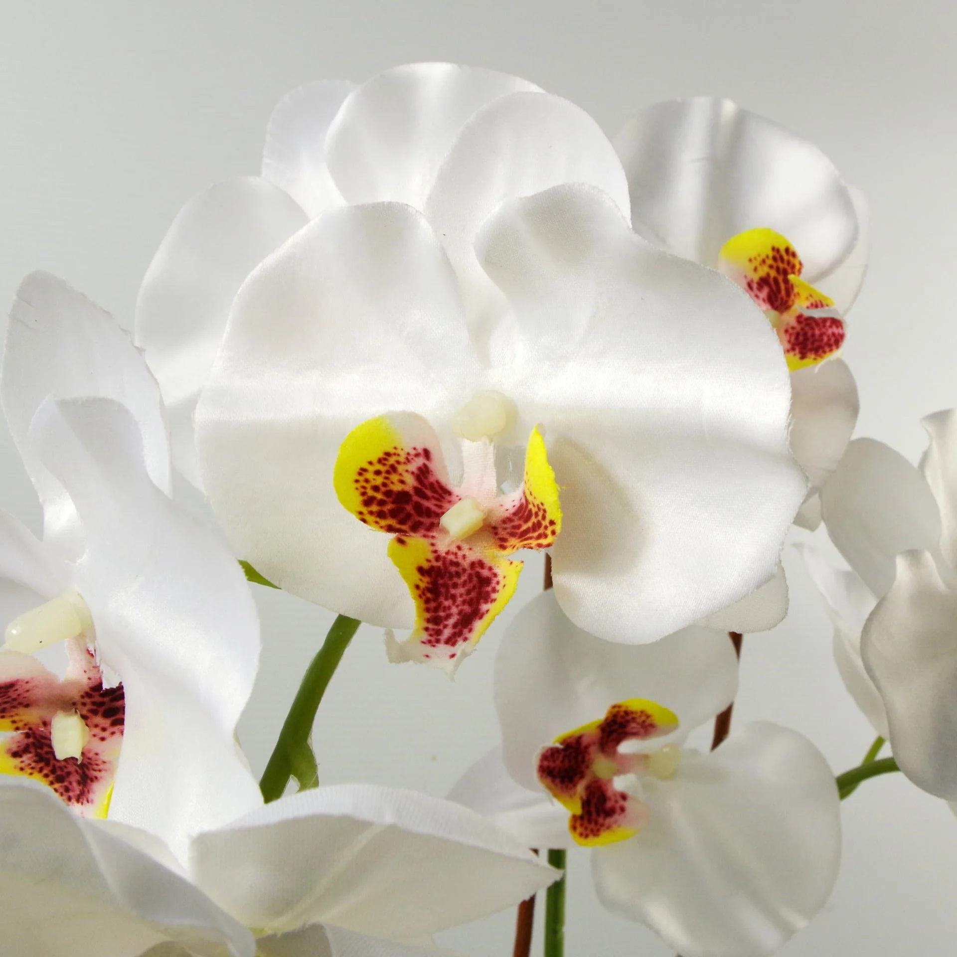 65cm Artificial Orchid White in Glazed Planter - Image 3