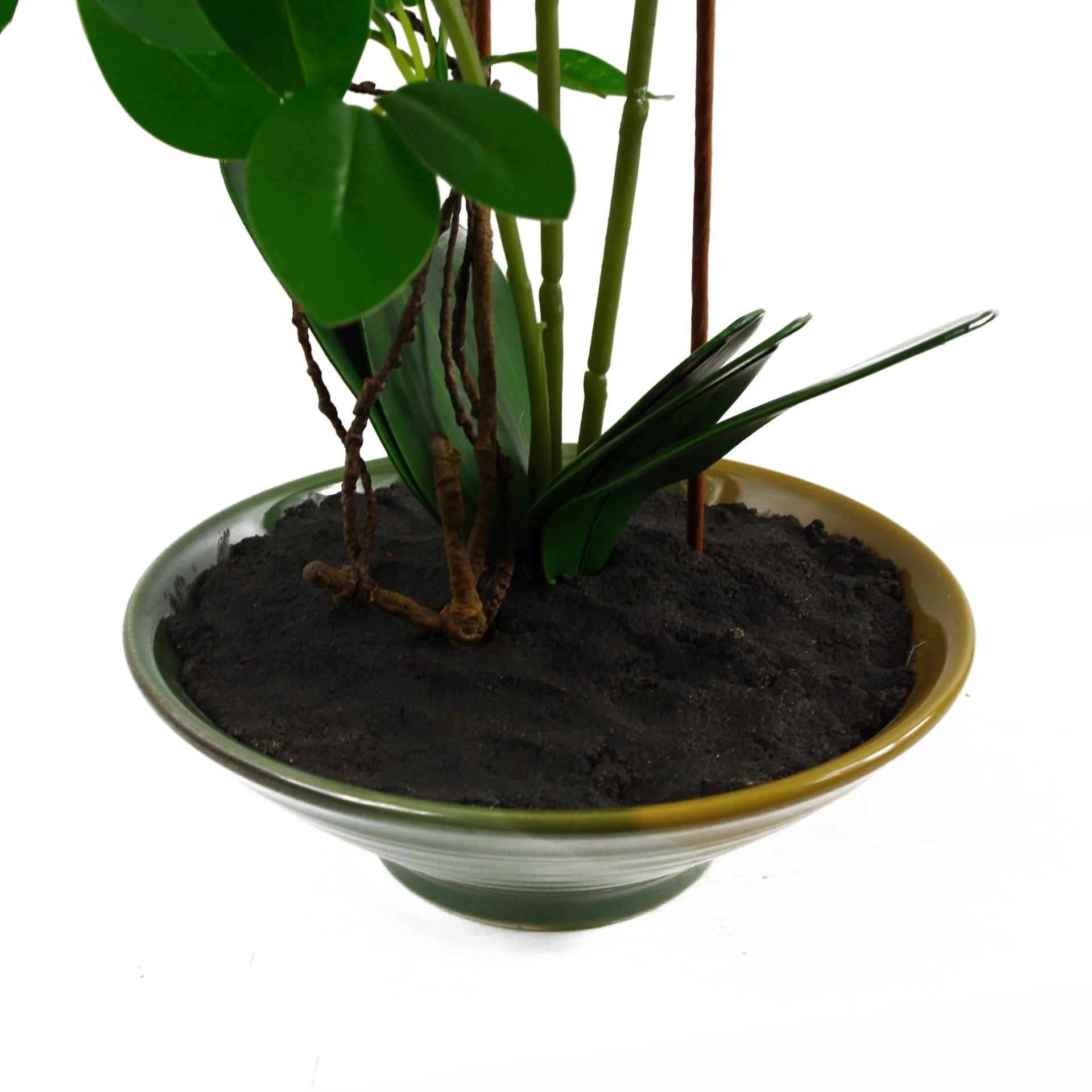 65cm Artificial Orchid White in Glazed Planter - Image 4