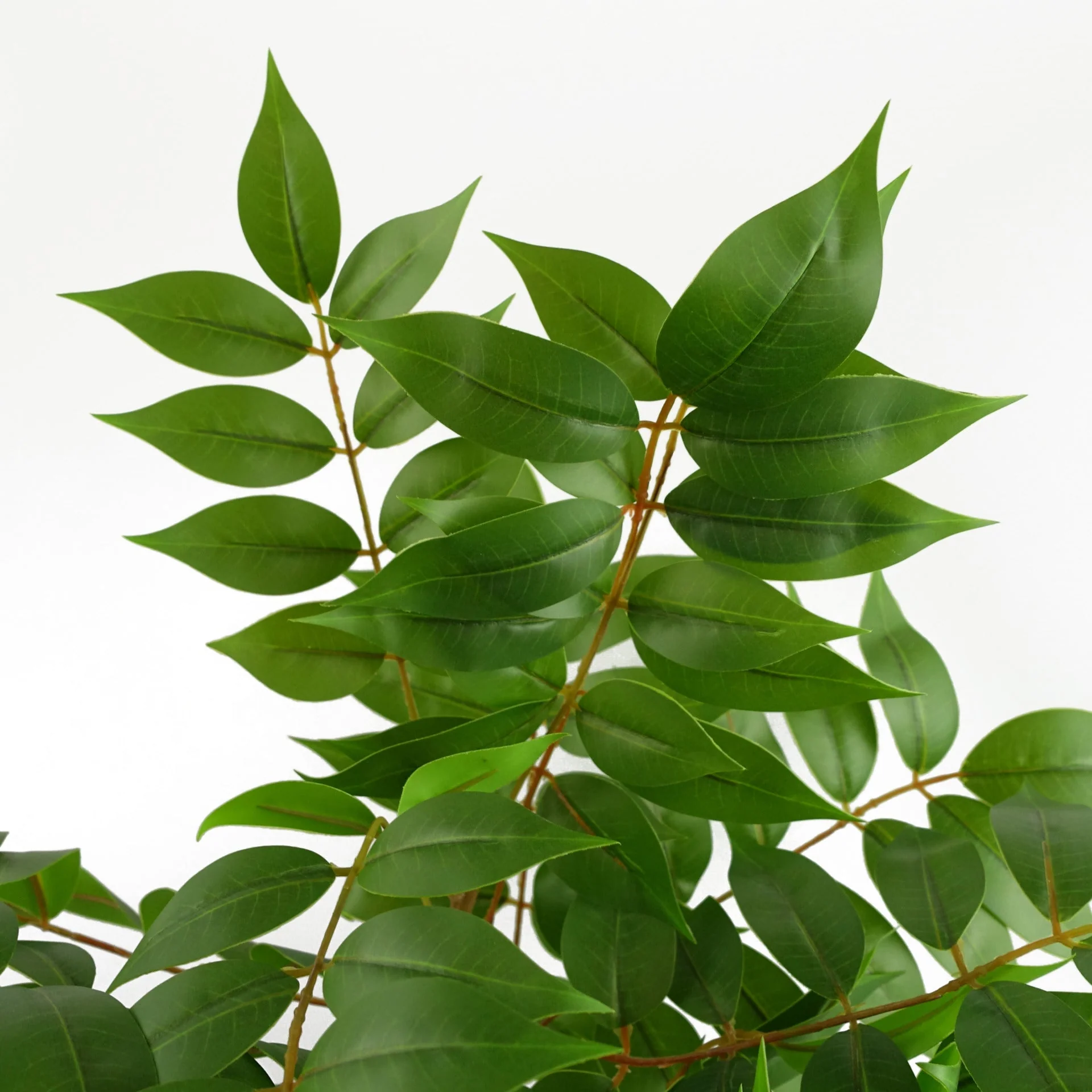 65cm Artificial Toona Sinensis Plant Evergreen - Image 3