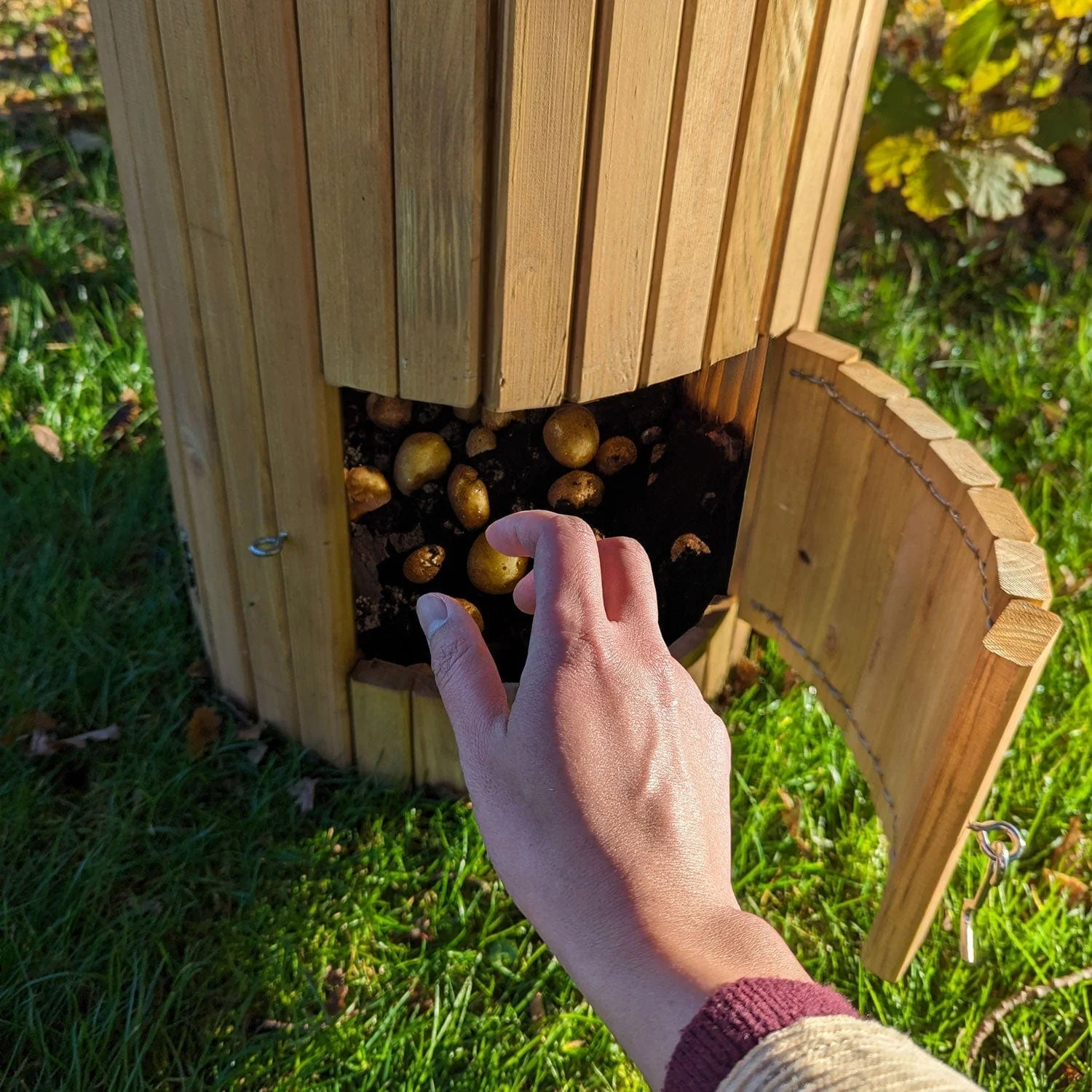 66 Litre Wooden Potato Planter Barrel - Image 4