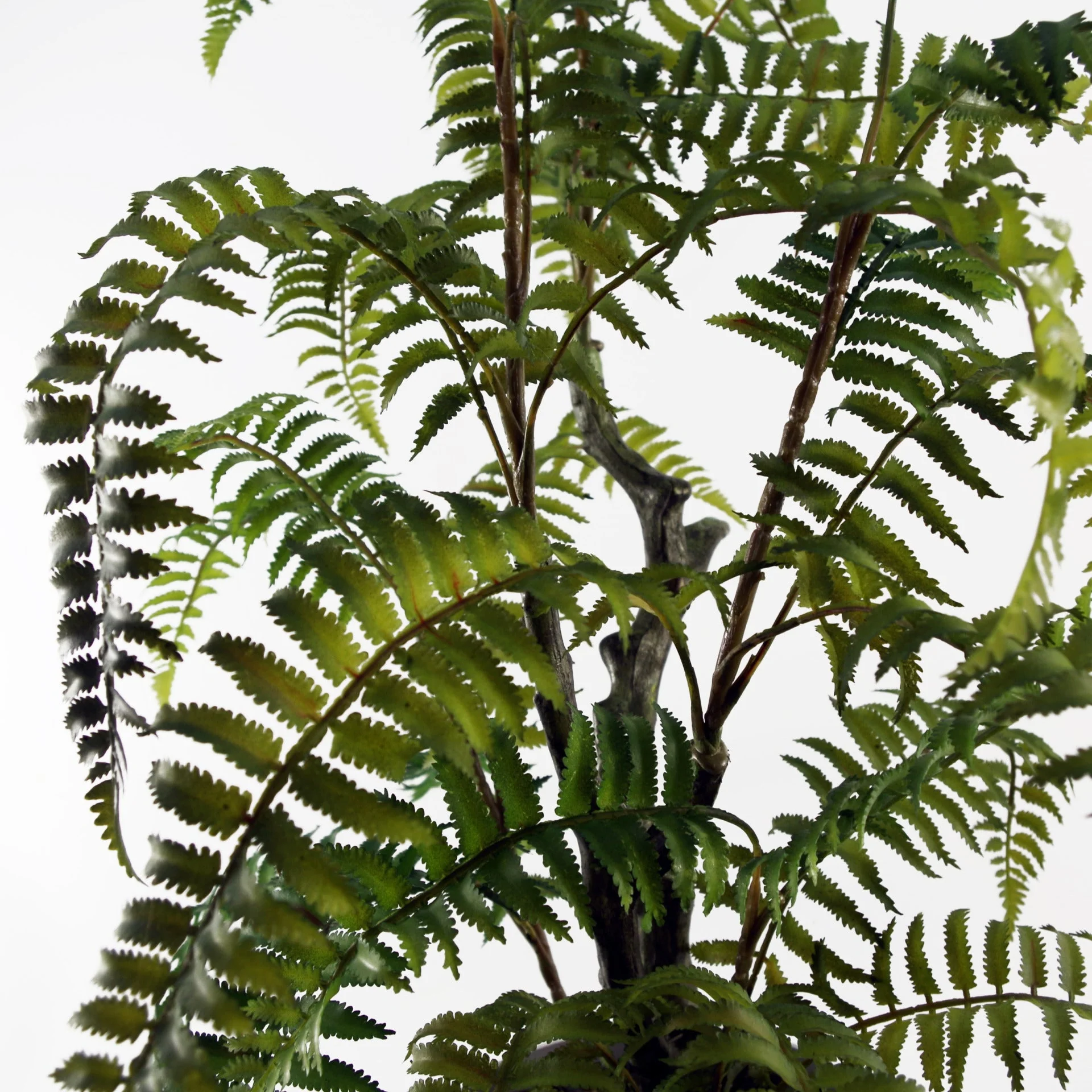 70cm Artificial Fern Tree in Decorative Planter - Image 3