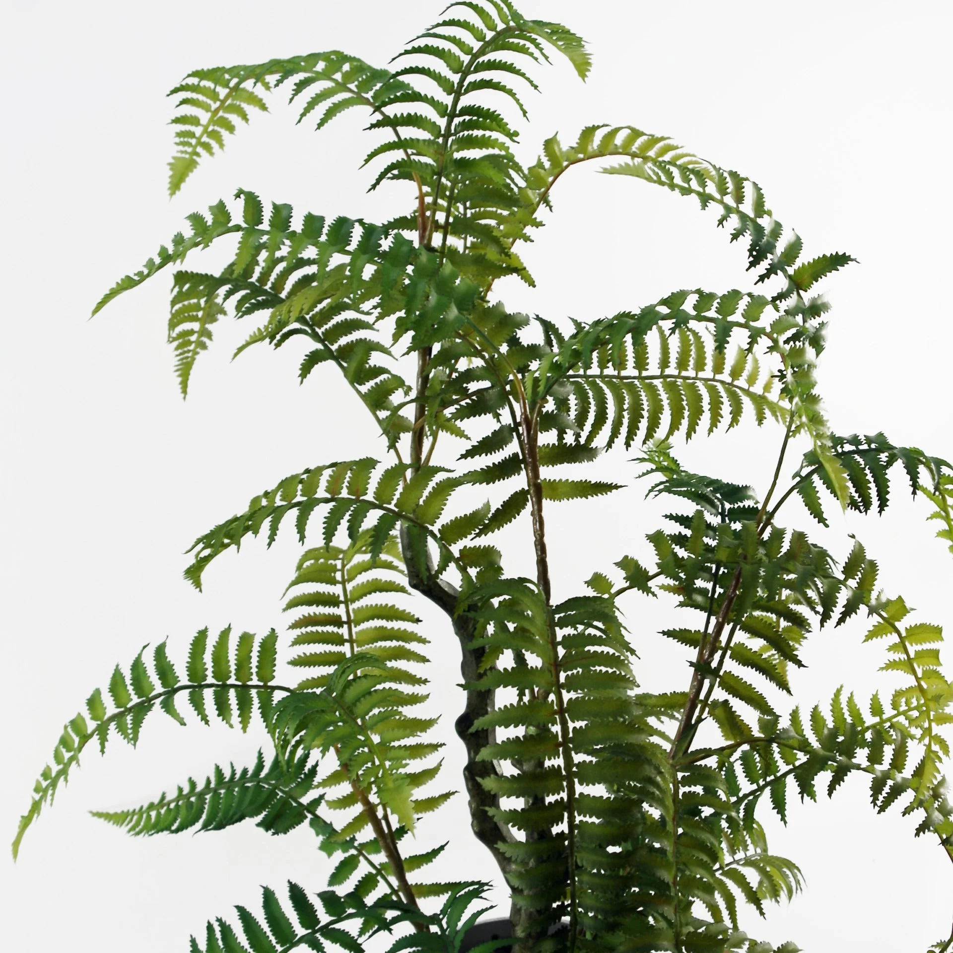 70cm Artificial Fern Tree in Decorative Planter - Image 4