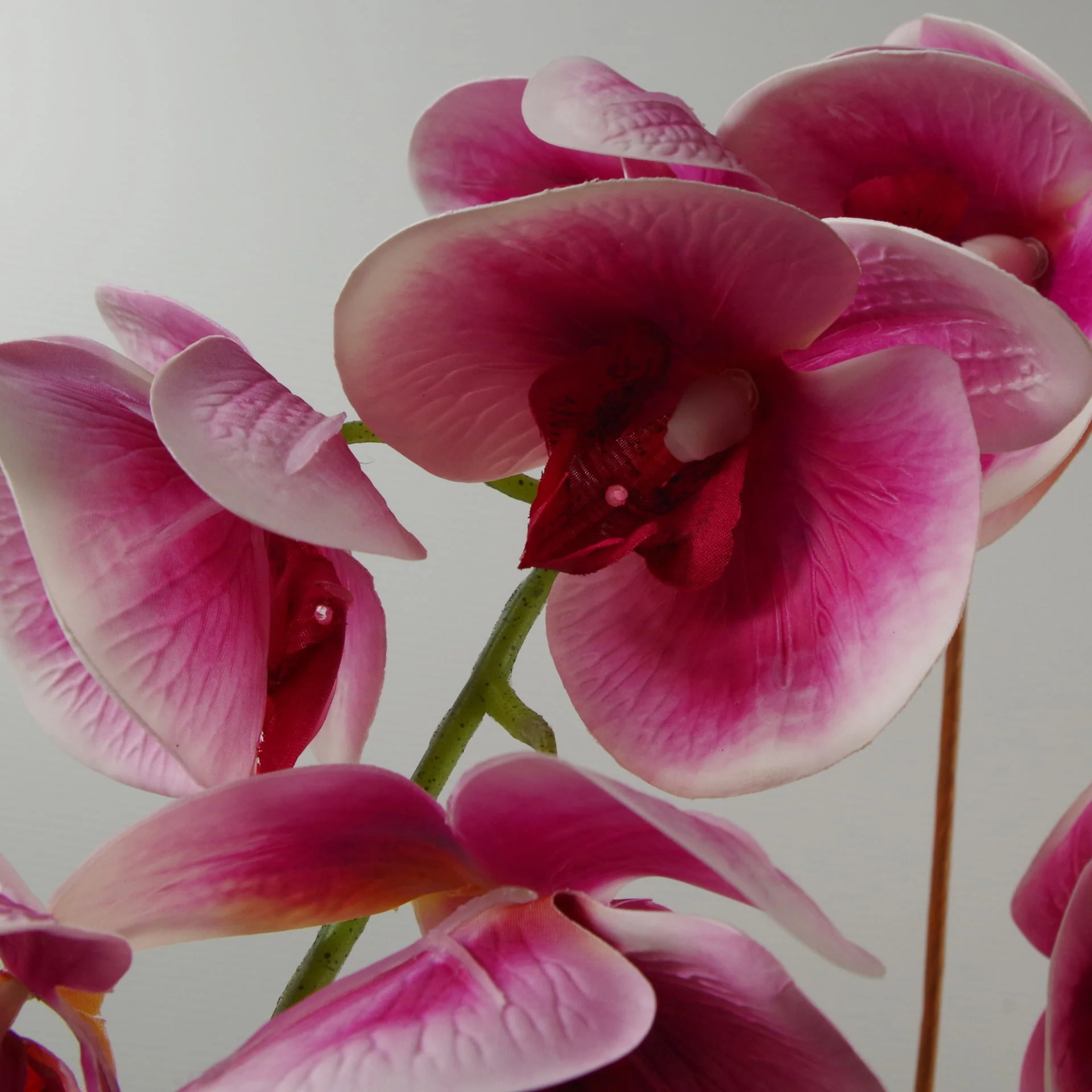 70cm Artificial Orchid Dark Pink - Image 3