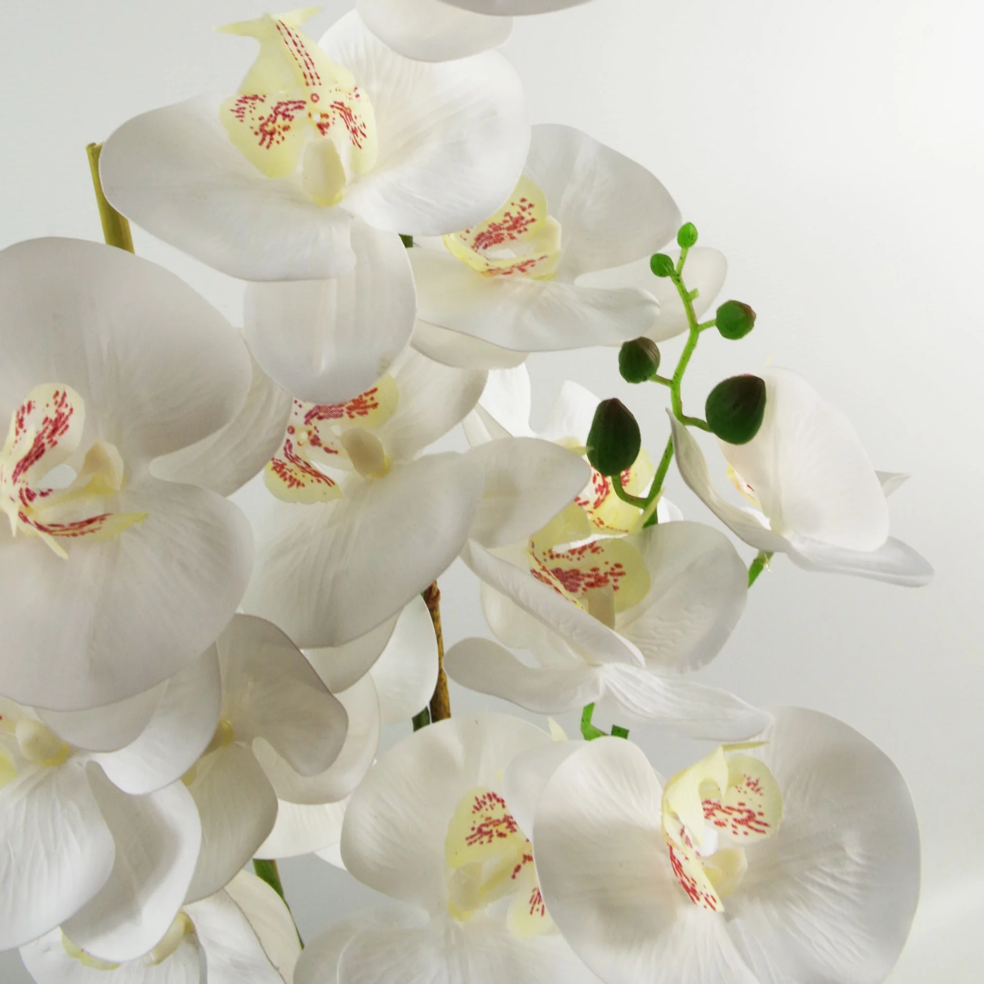 70cm Artificial Orchid White with Silver Ceramic Planter - Image 2