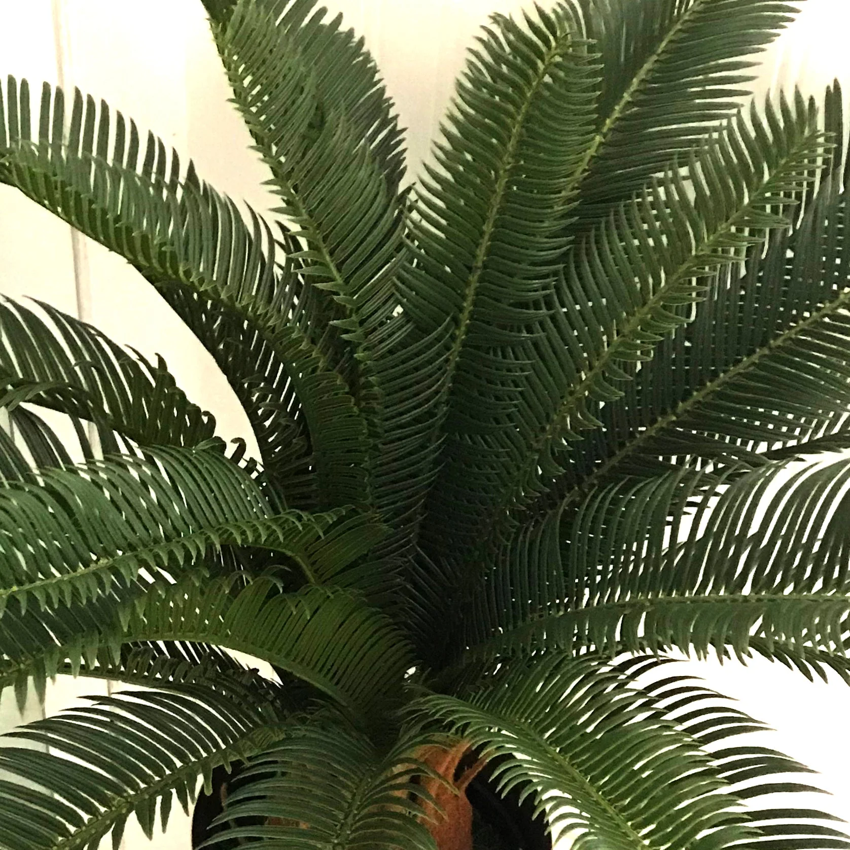 70cm Artificial Tropical Cycas Palm Plant - Image 4