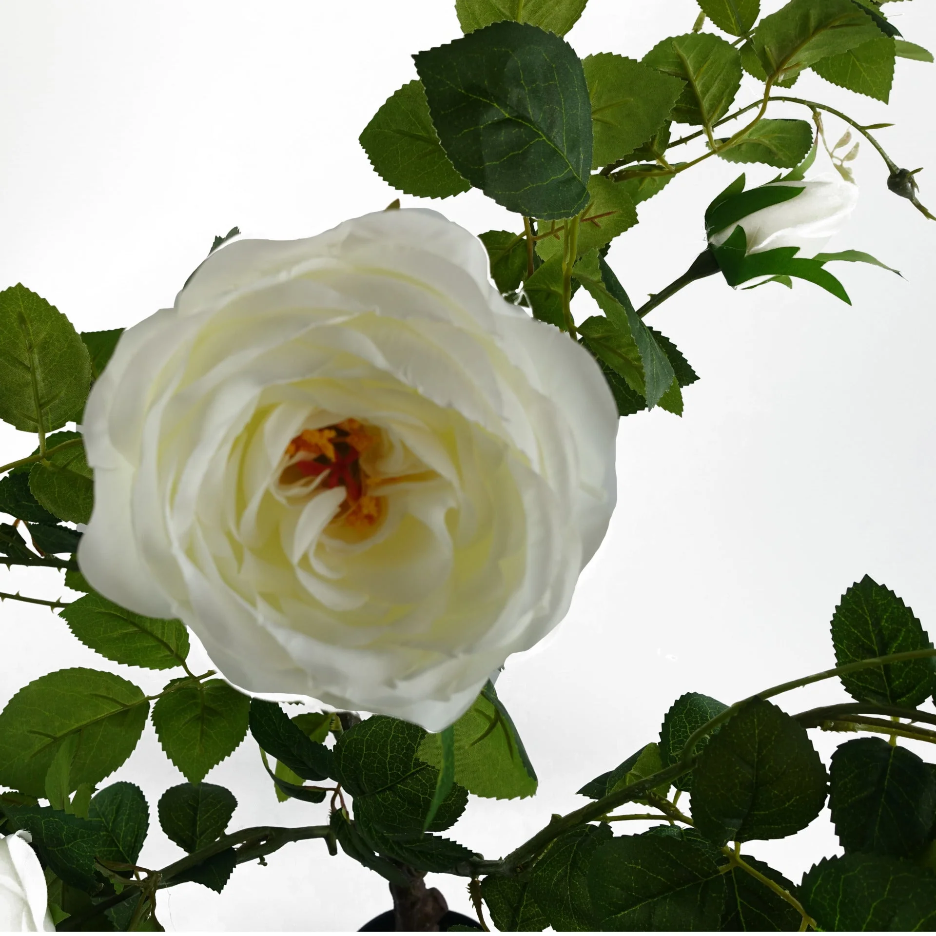 70cm White Camellia Rose Plant Artificial - Image 3