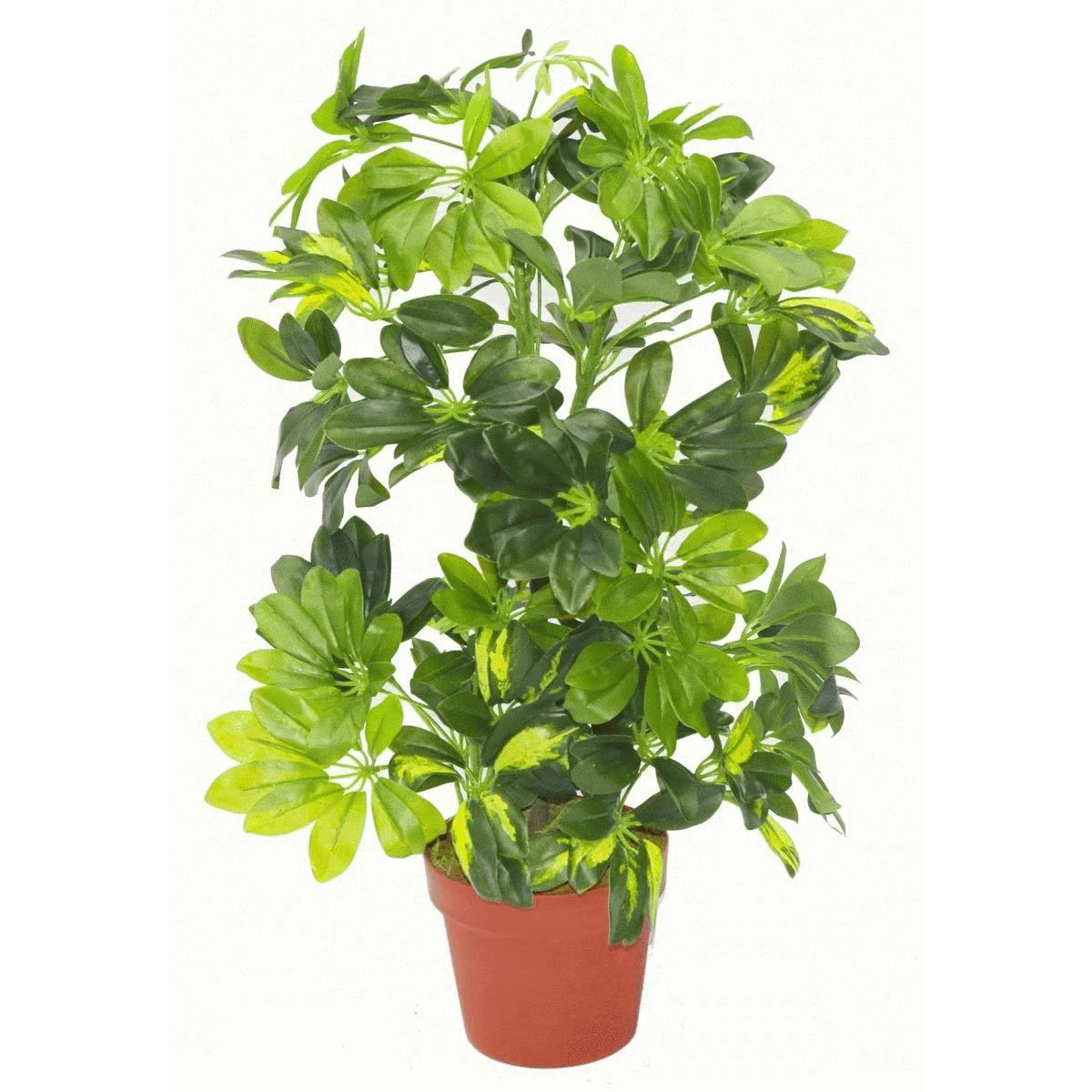 75cm Artificial Arboricola Gold Capella Plant - Silver Metal Planter - Image 2