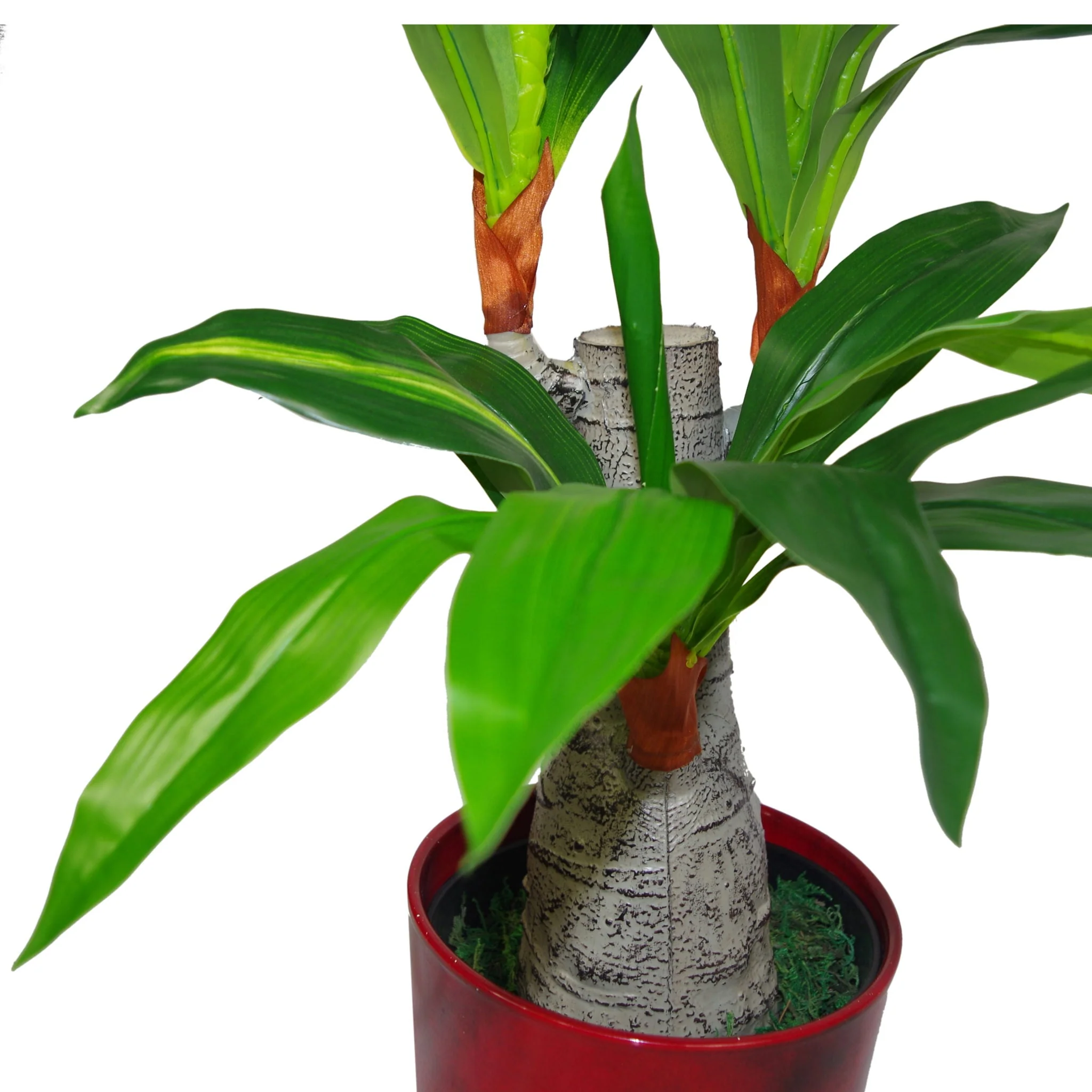 75cm Artificial Dracaena Plant - Wide Trunk Triple Branch Large - Image 2