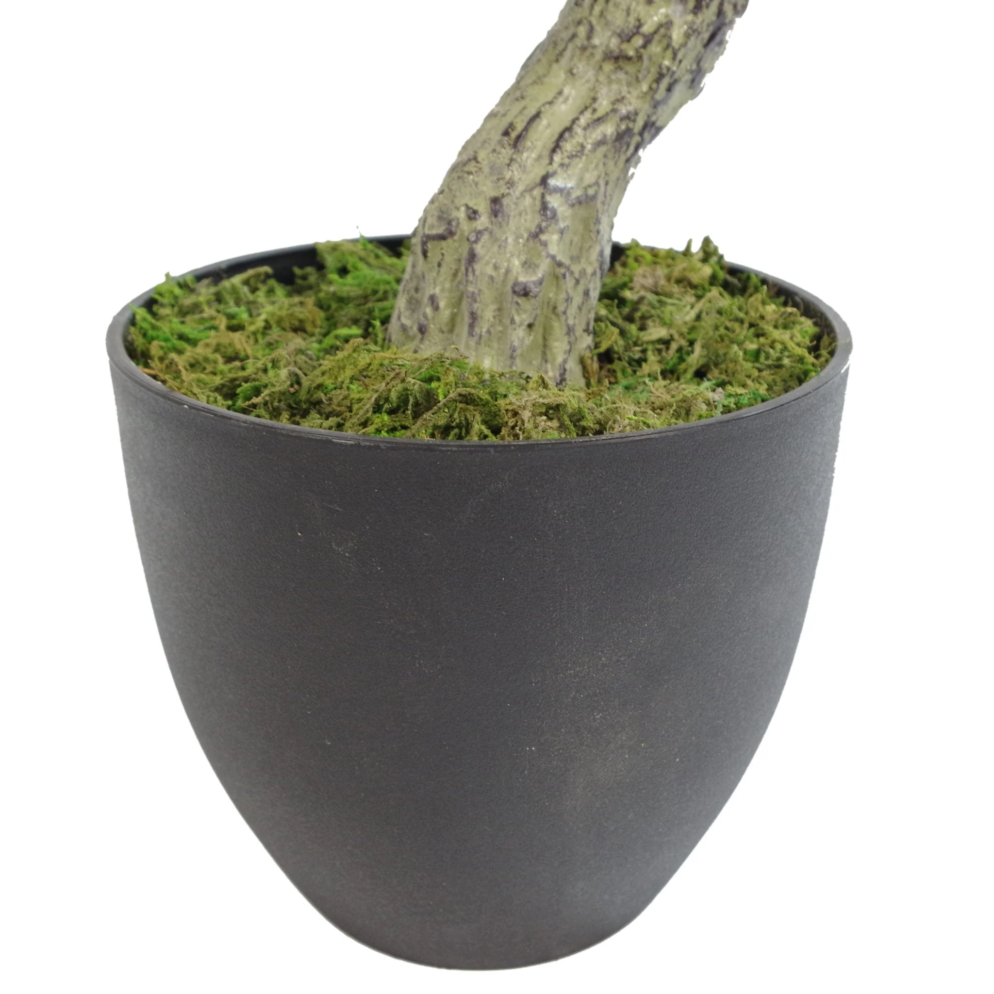 75cm Artificial Podocarpus Tree With Black Pot - Premium Range - Image 3