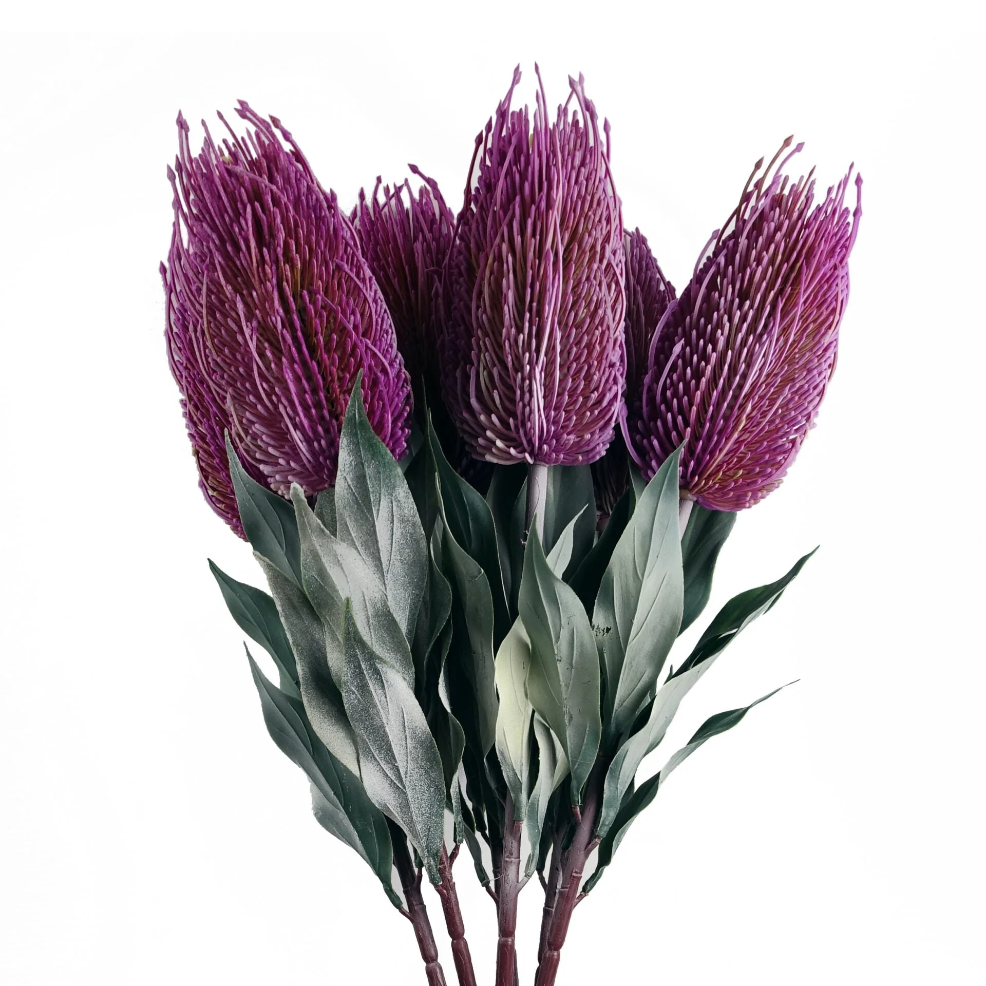 75cm Banksia Menziesii Pink Flower Stem Artificial - Image 4