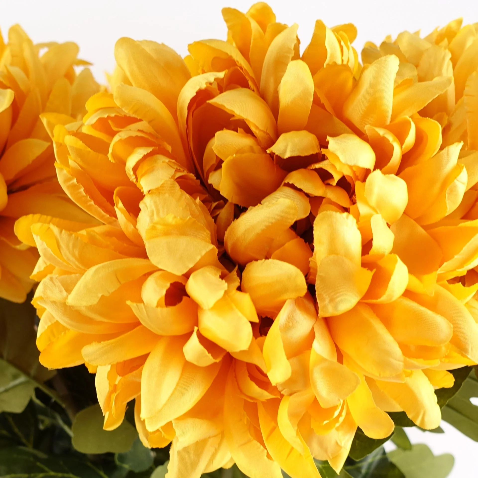 75cm Extra Large Reflex Chrysanthemum - Gold - Image 4