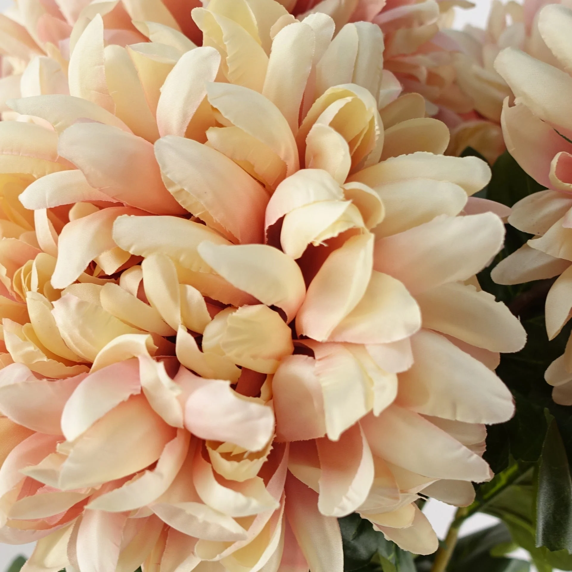 75cm Extra Large Reflex Chrysanthemum - Pink - Image 2