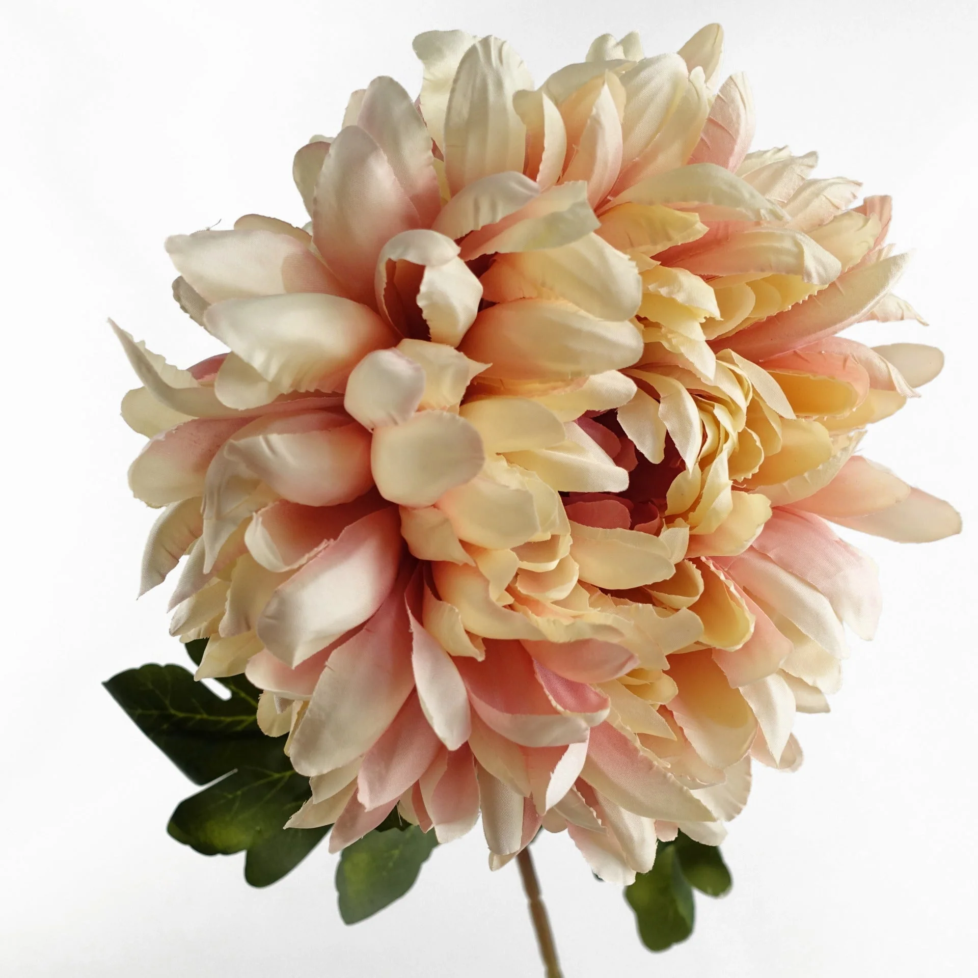75cm Extra Large Reflex Chrysanthemum - Pink - Image 3