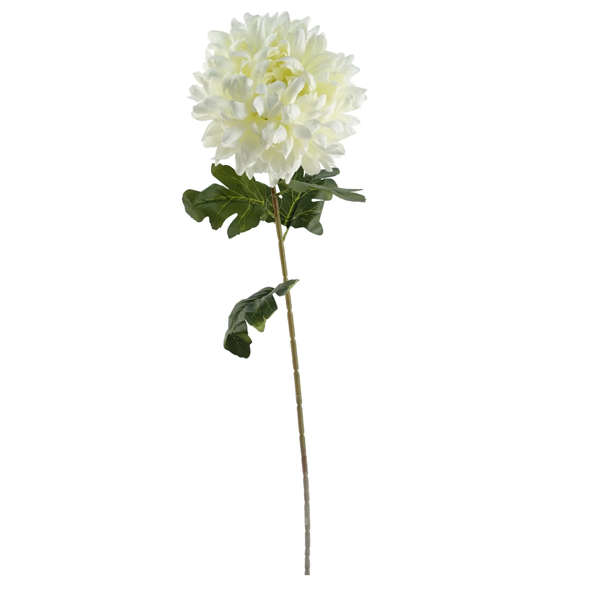 75cm Extra Large Reflex Chrysanthemum - White - Image 3
