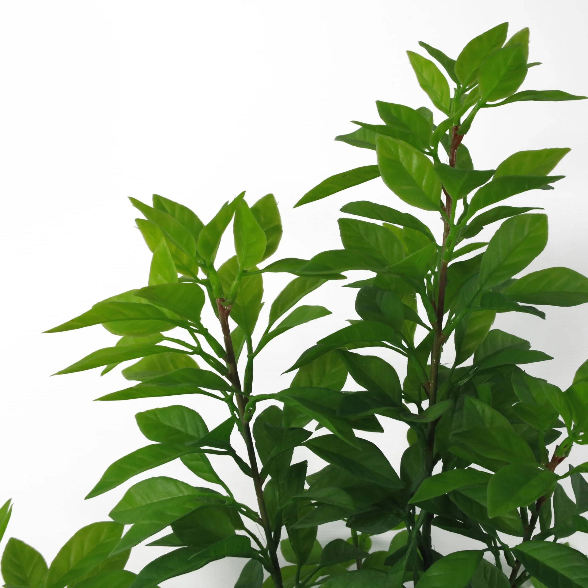 80cm Artificial Green Ficus Tree - Image 2