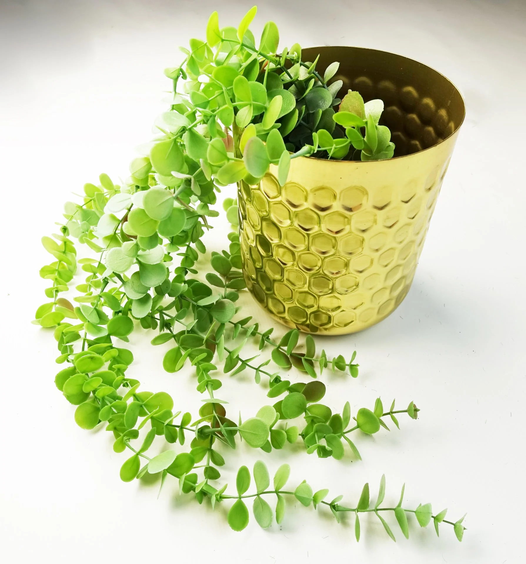 80cm Artificial Hanging Trailing Eucalyptus Plant - Image 4
