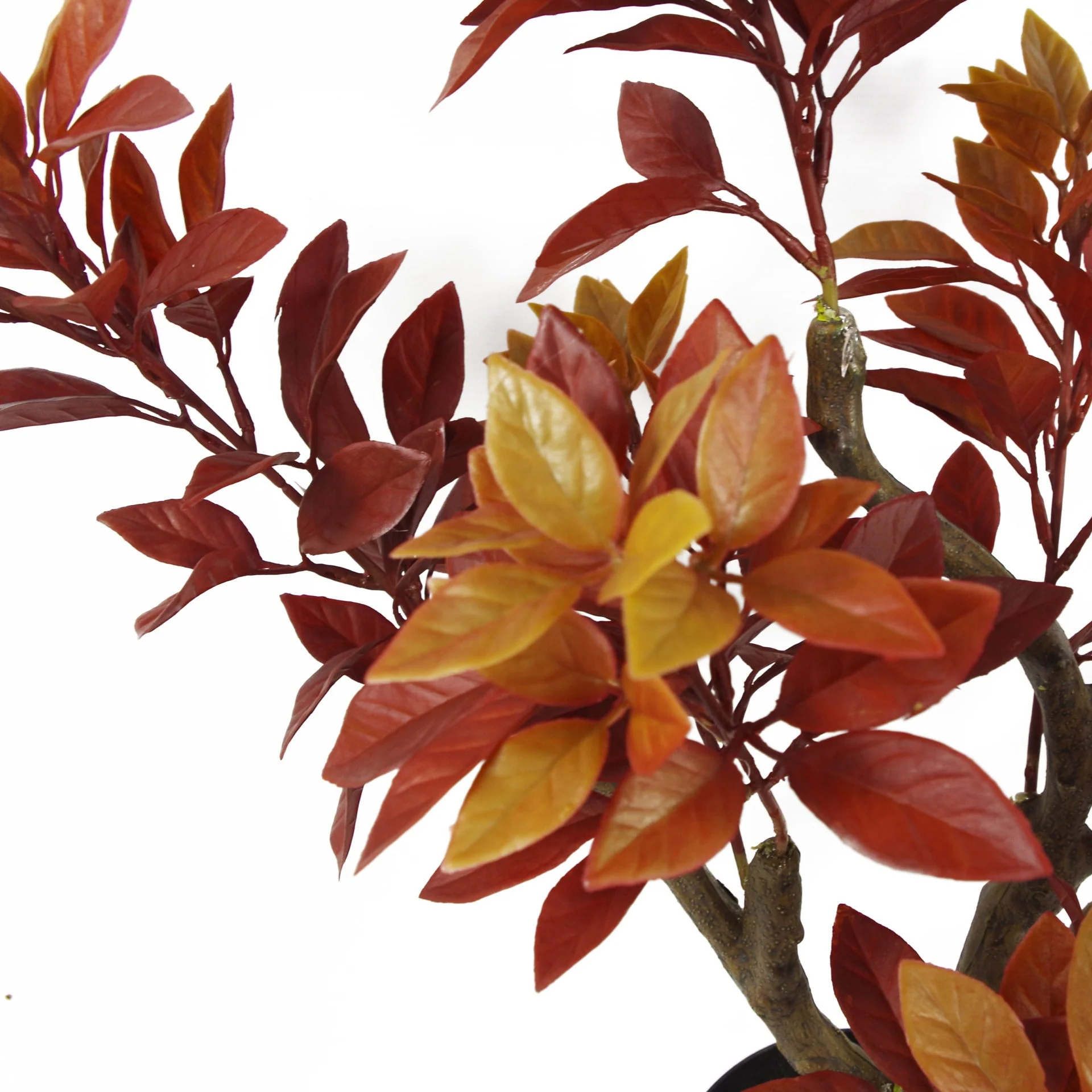 80cm Artificial Orange Fire Autumn Ficus Tree - Image 2