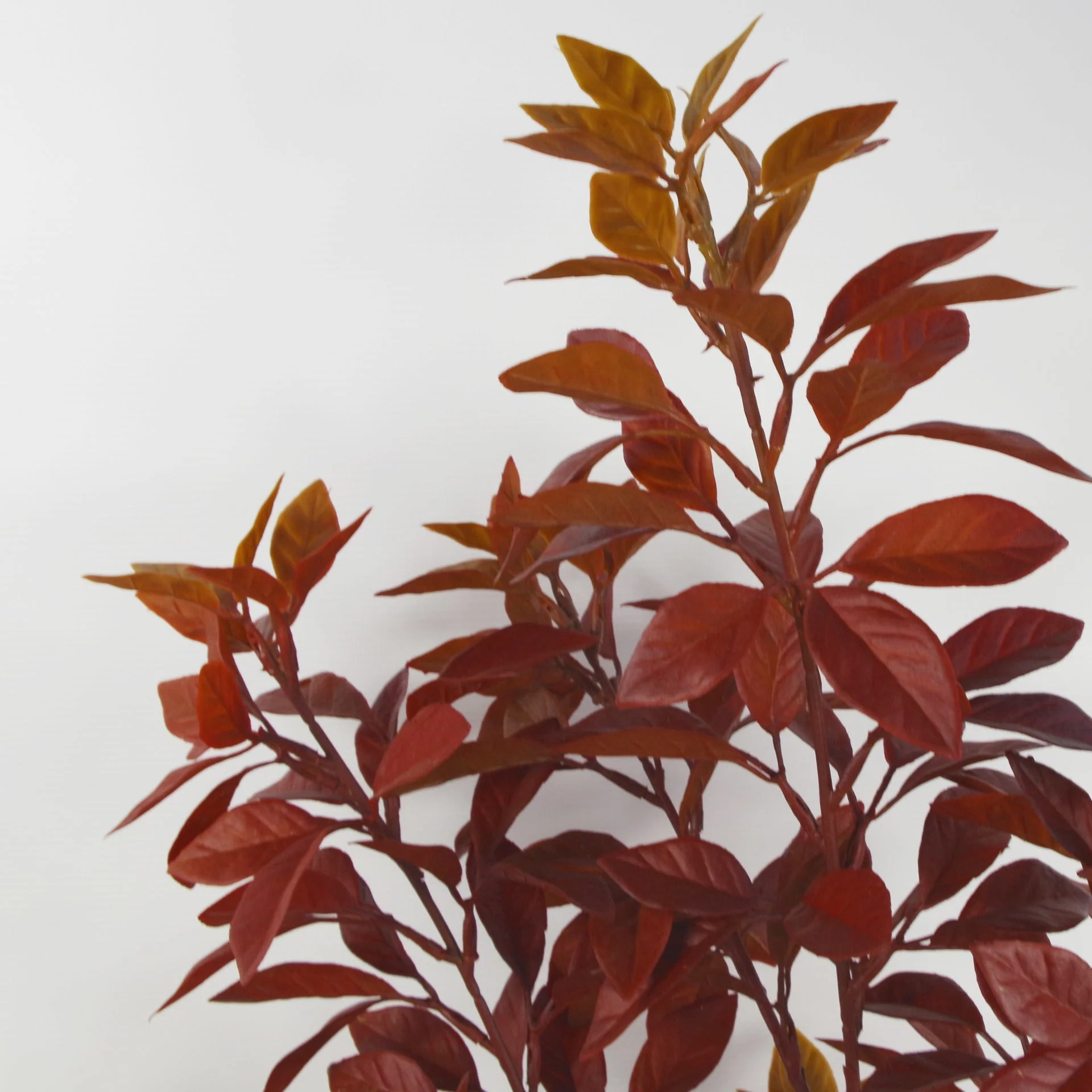 80cm Artificial Orange Fire Autumn Ficus Tree - Image 3