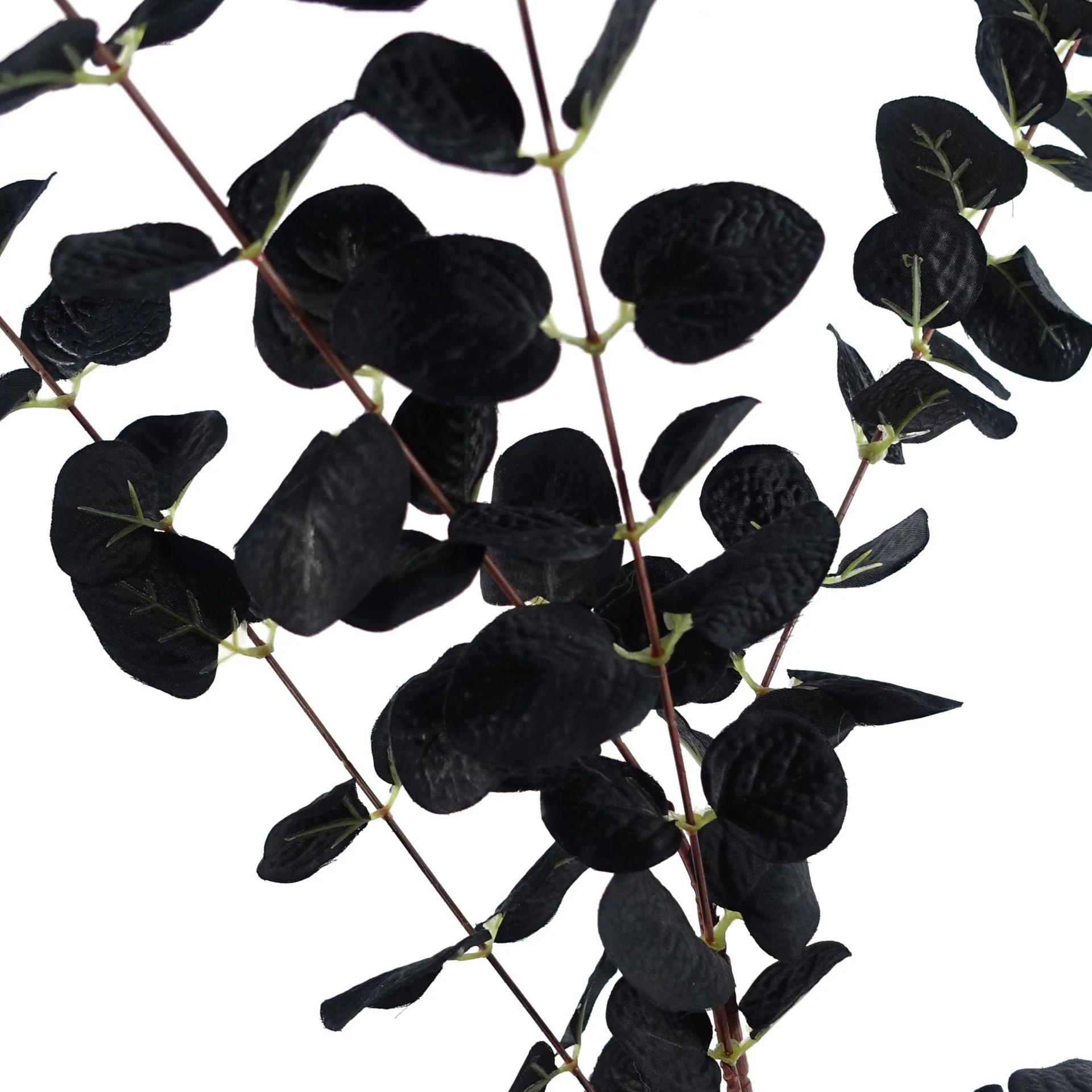 80cm Black Eucalyptus Foliage Stem - Image 3