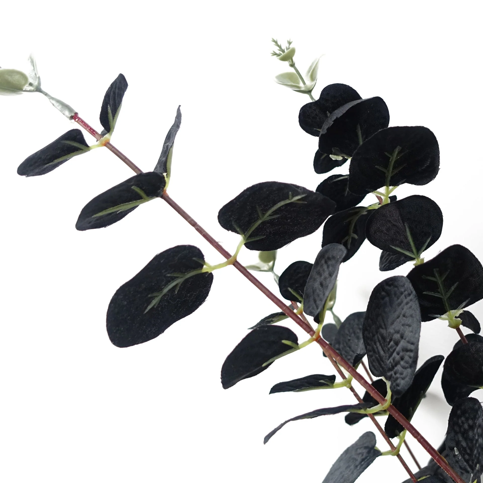 80cm Black Eucalyptus Foliage Stem - Image 4