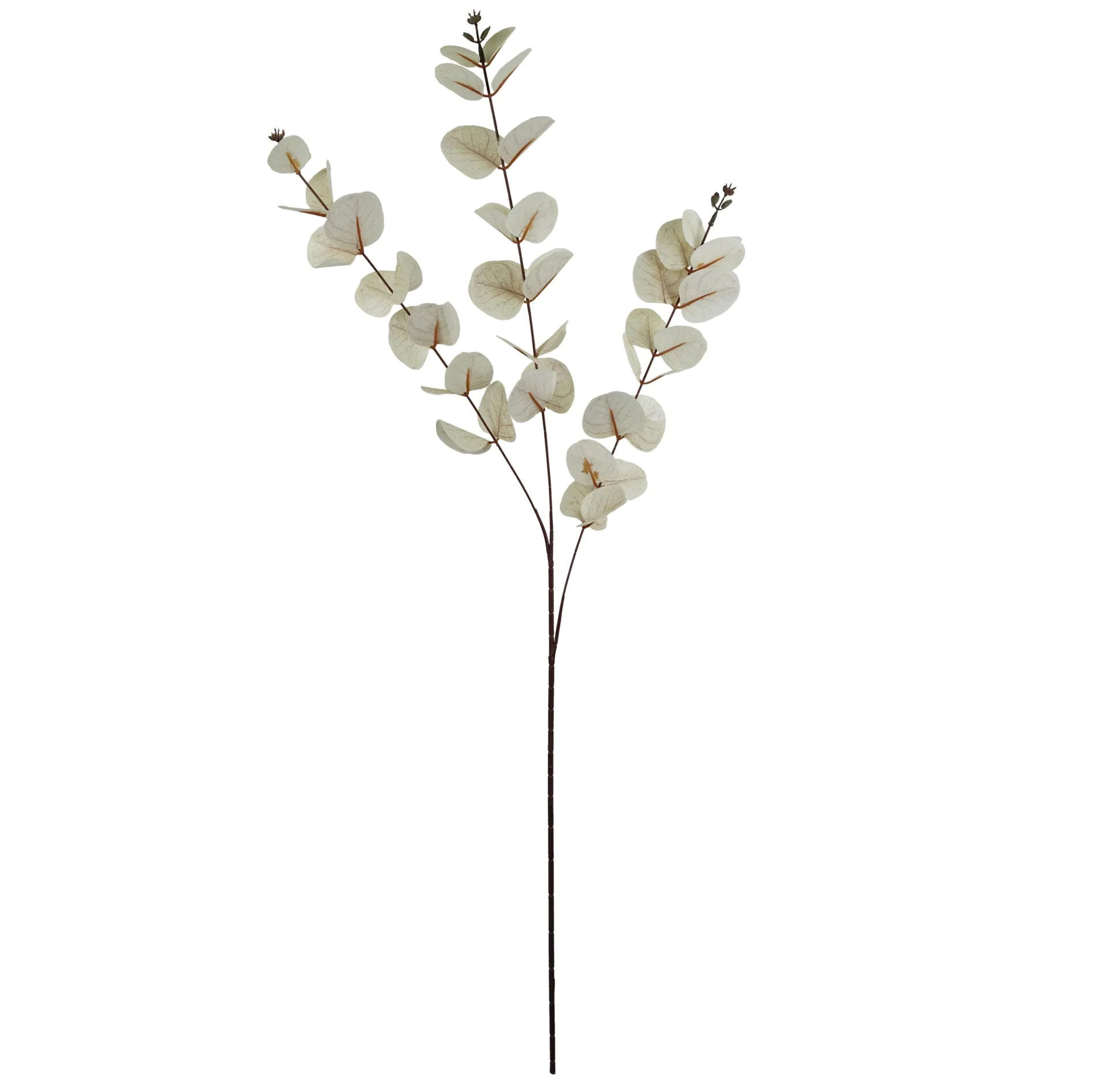 80cm White Eucalyptus Foliage Stem - Image 2