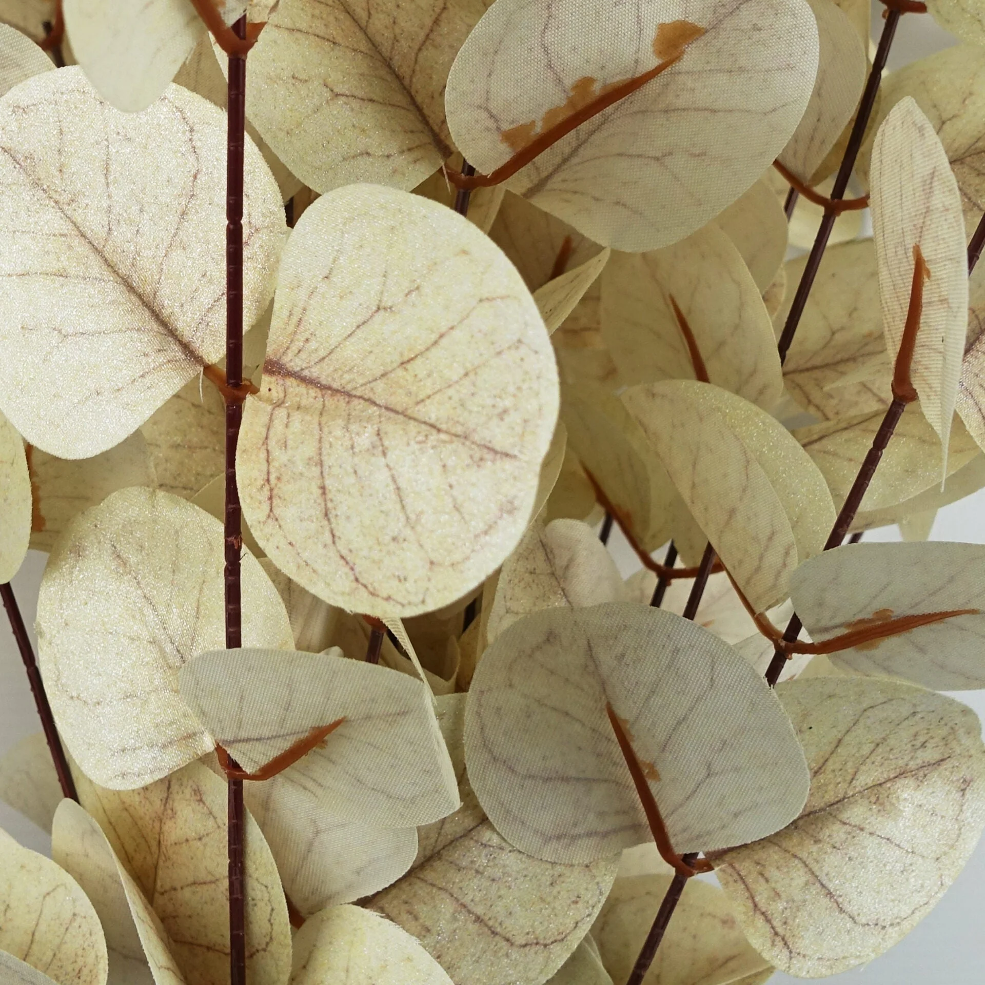 80cm White Eucalyptus Foliage Stem - Image 3