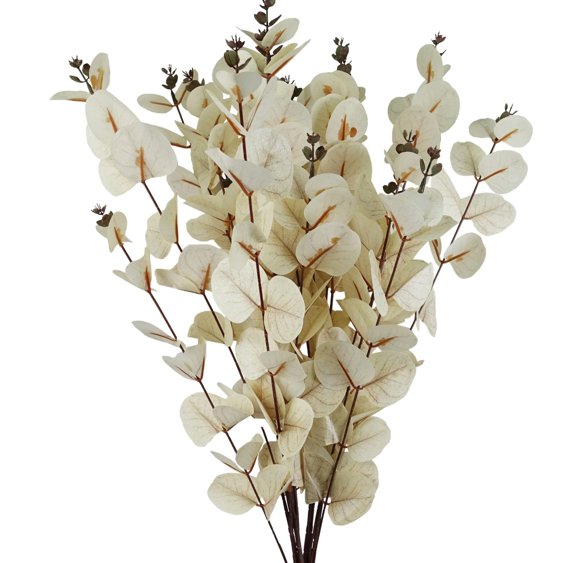 80cm White Eucalyptus Foliage Stem - Image 4